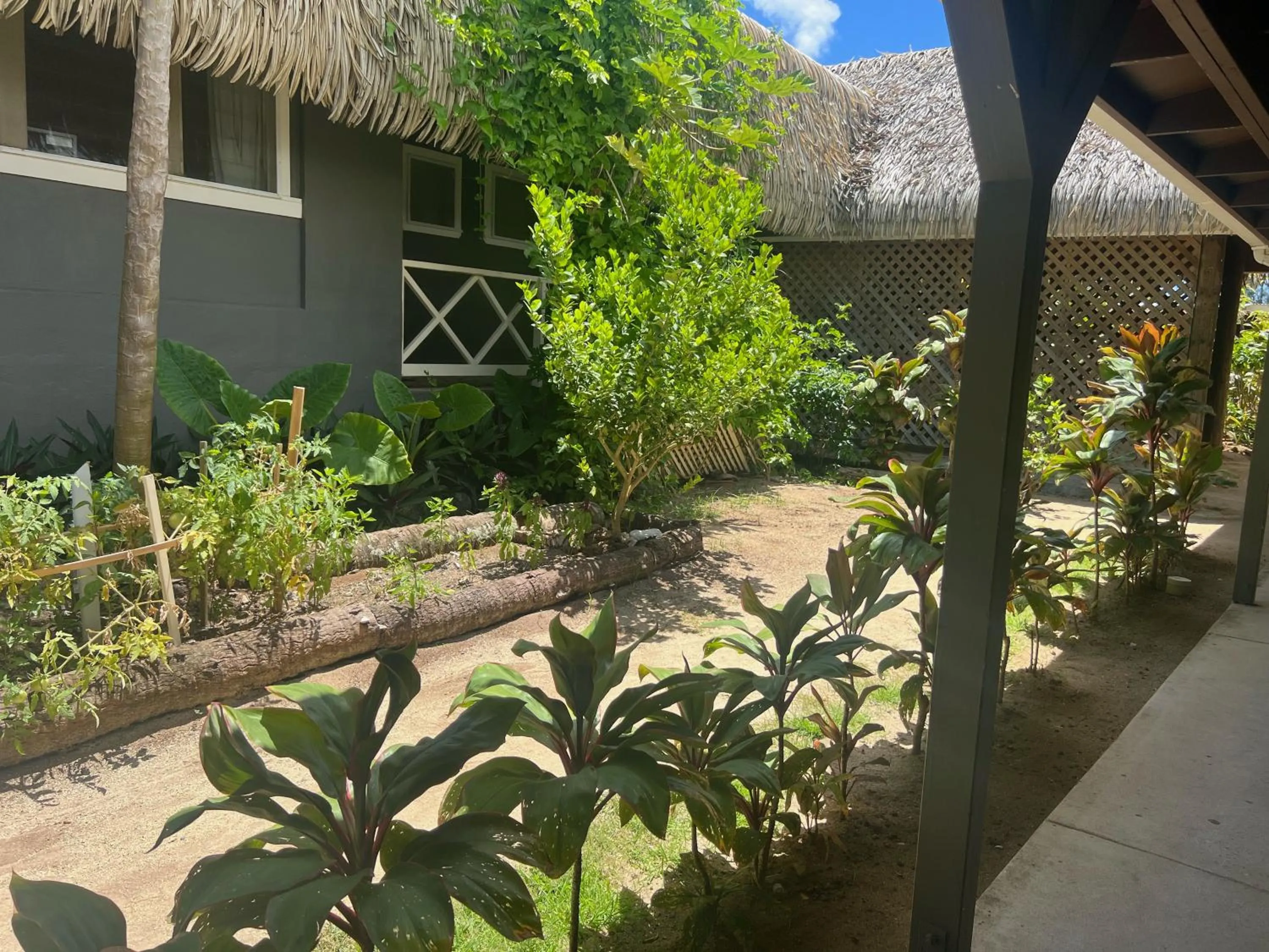Garden view in Club Raro Resort - Adults Only