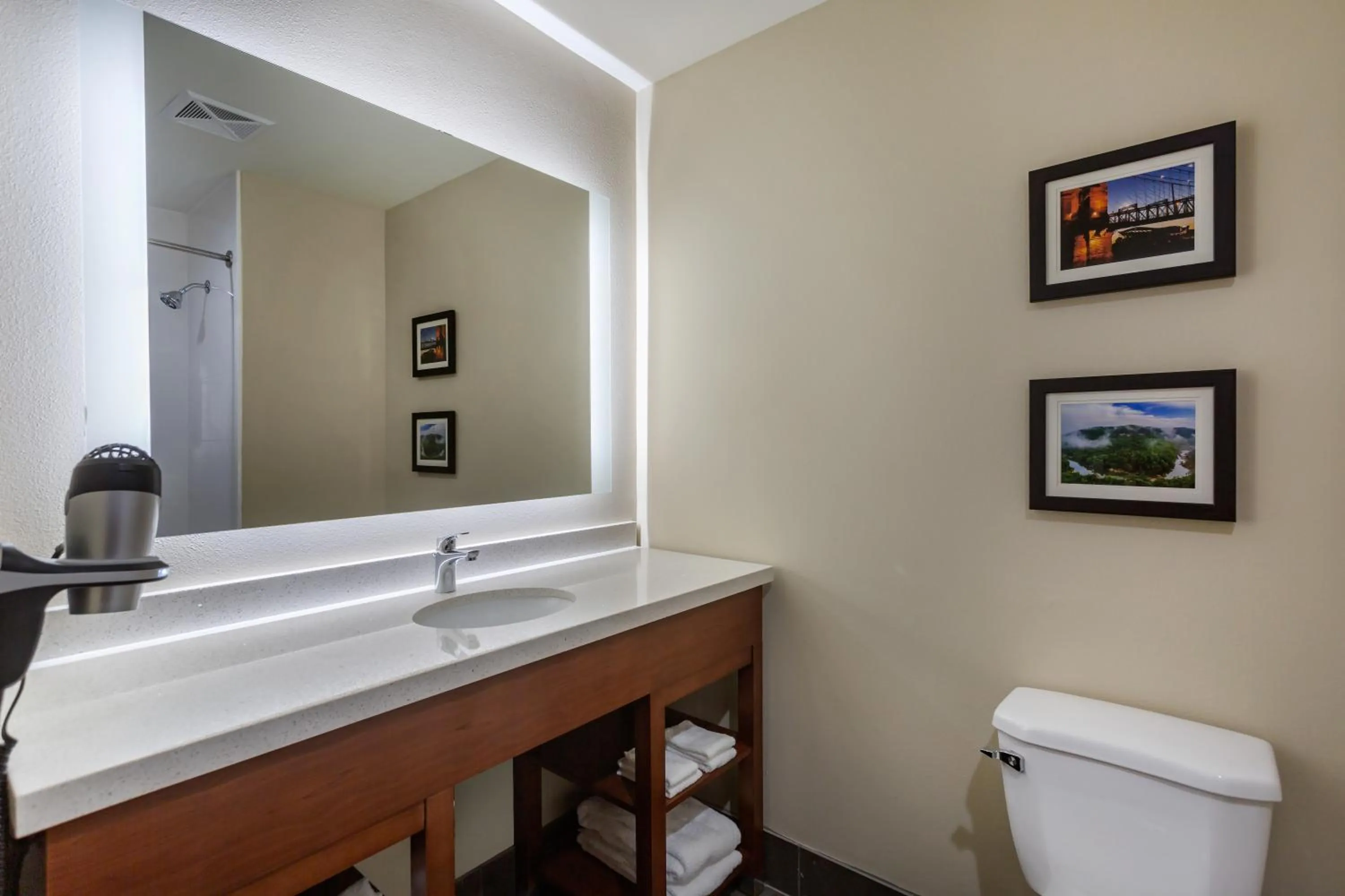 Toilet in Comfort Suites Bowling Green Southeast