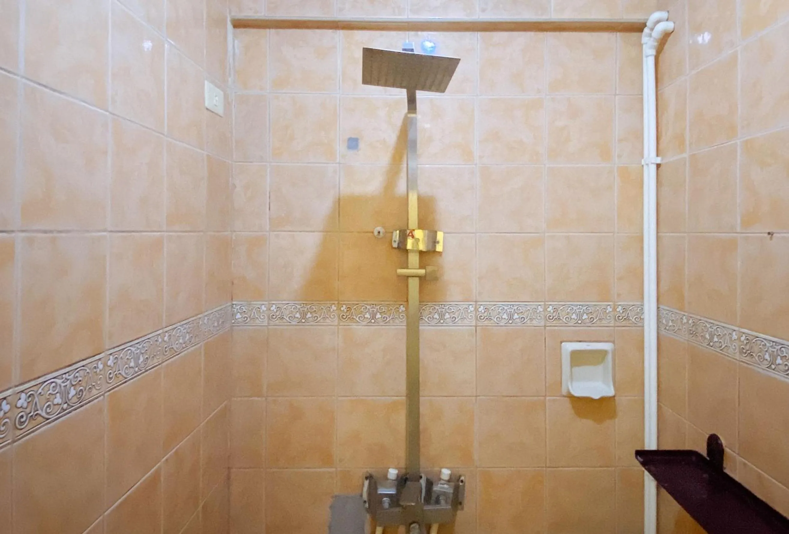 Shower in RedDoorz @ White Castle Beach Resort Iba Zambales