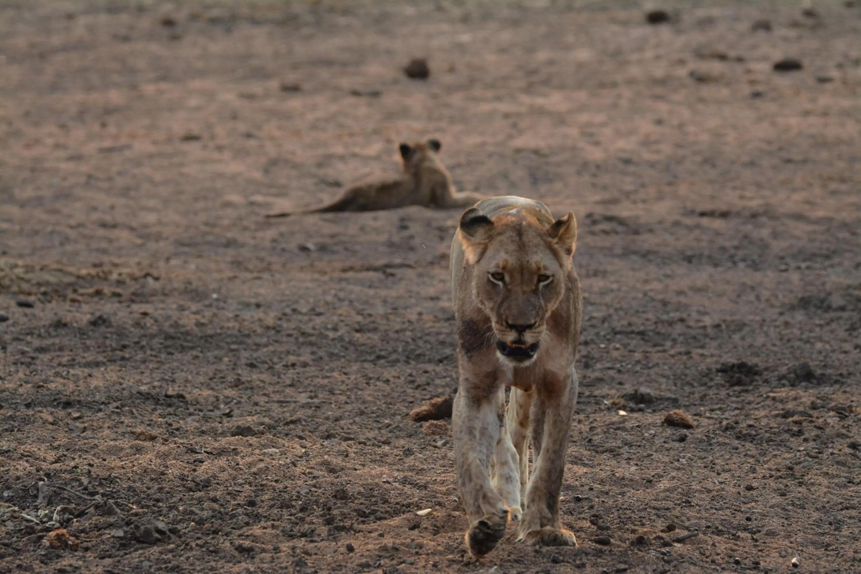 Natural landscape in La Lechere Guest House