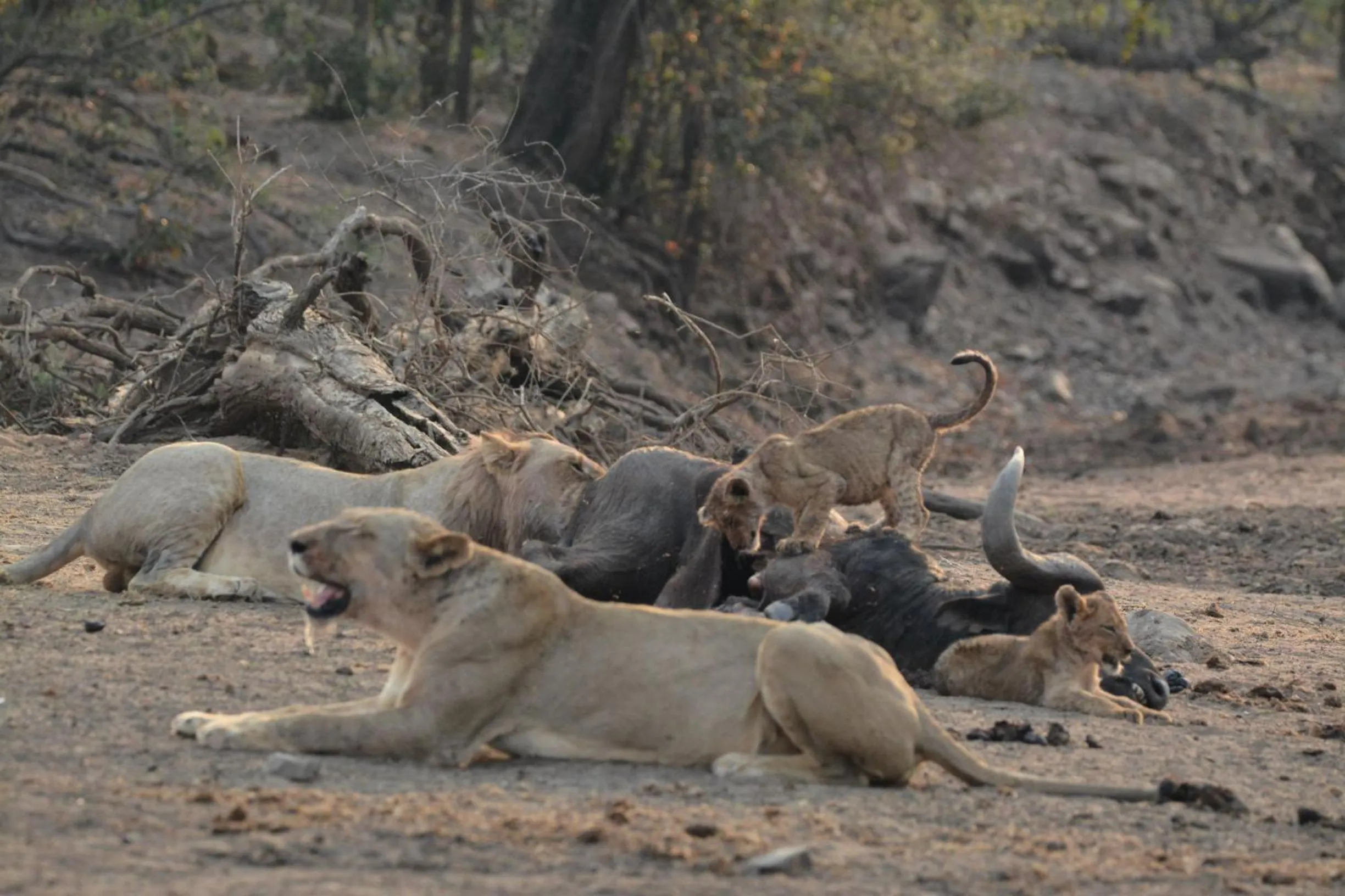 Natural landscape in La Lechere Guest House