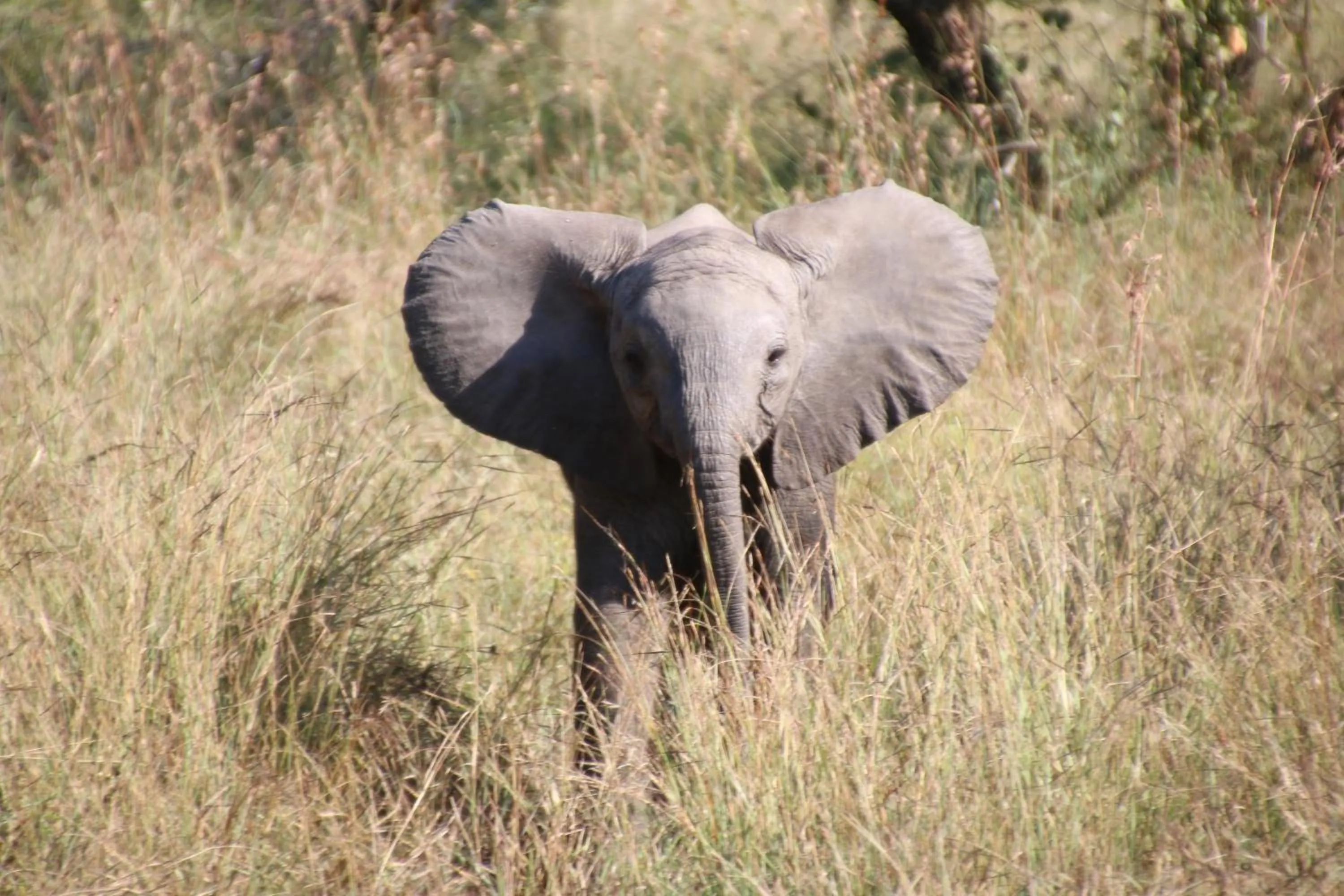 Natural landscape in La Lechere Guest House