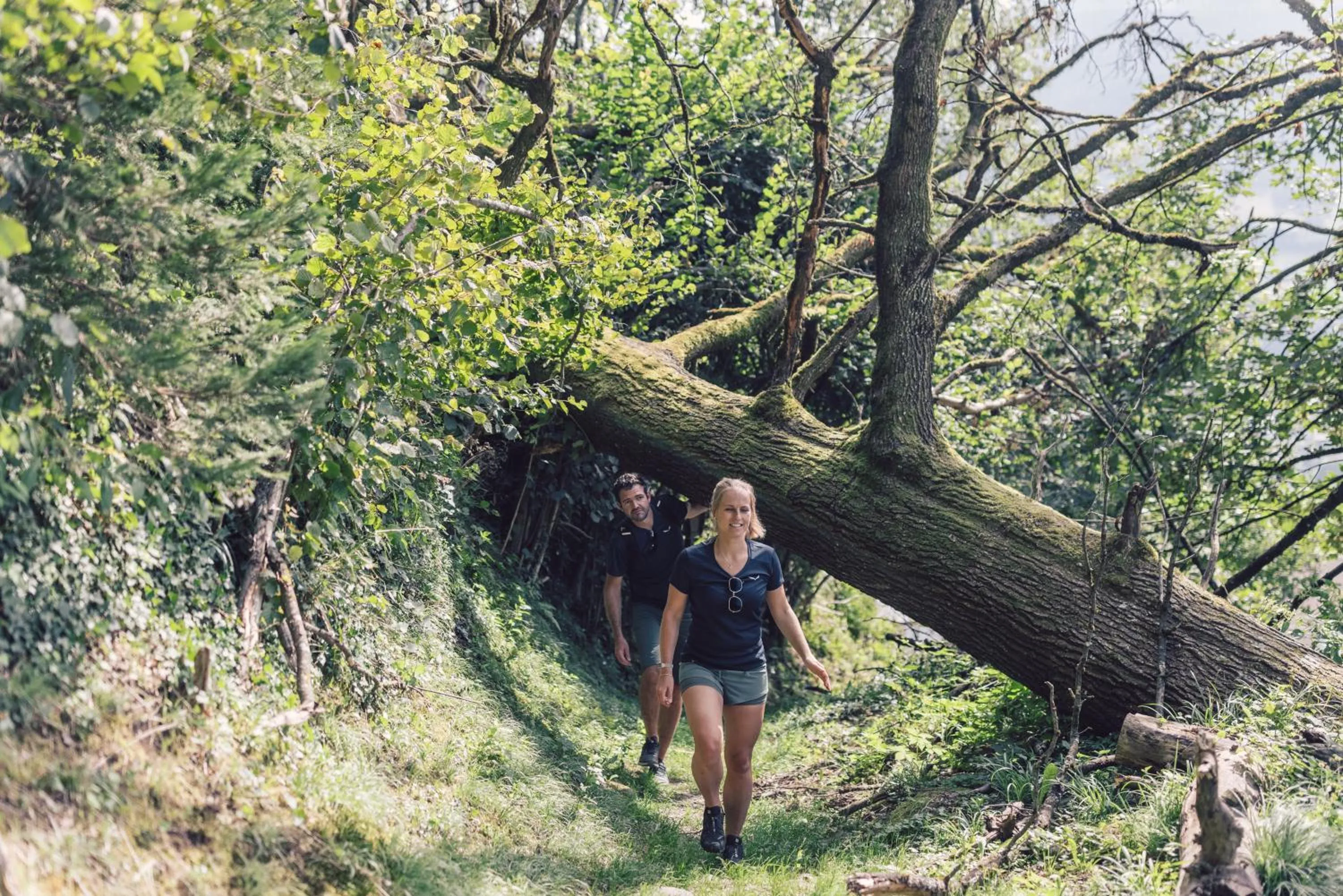 Hiking in Hotel - Gasthof Märzenklamm