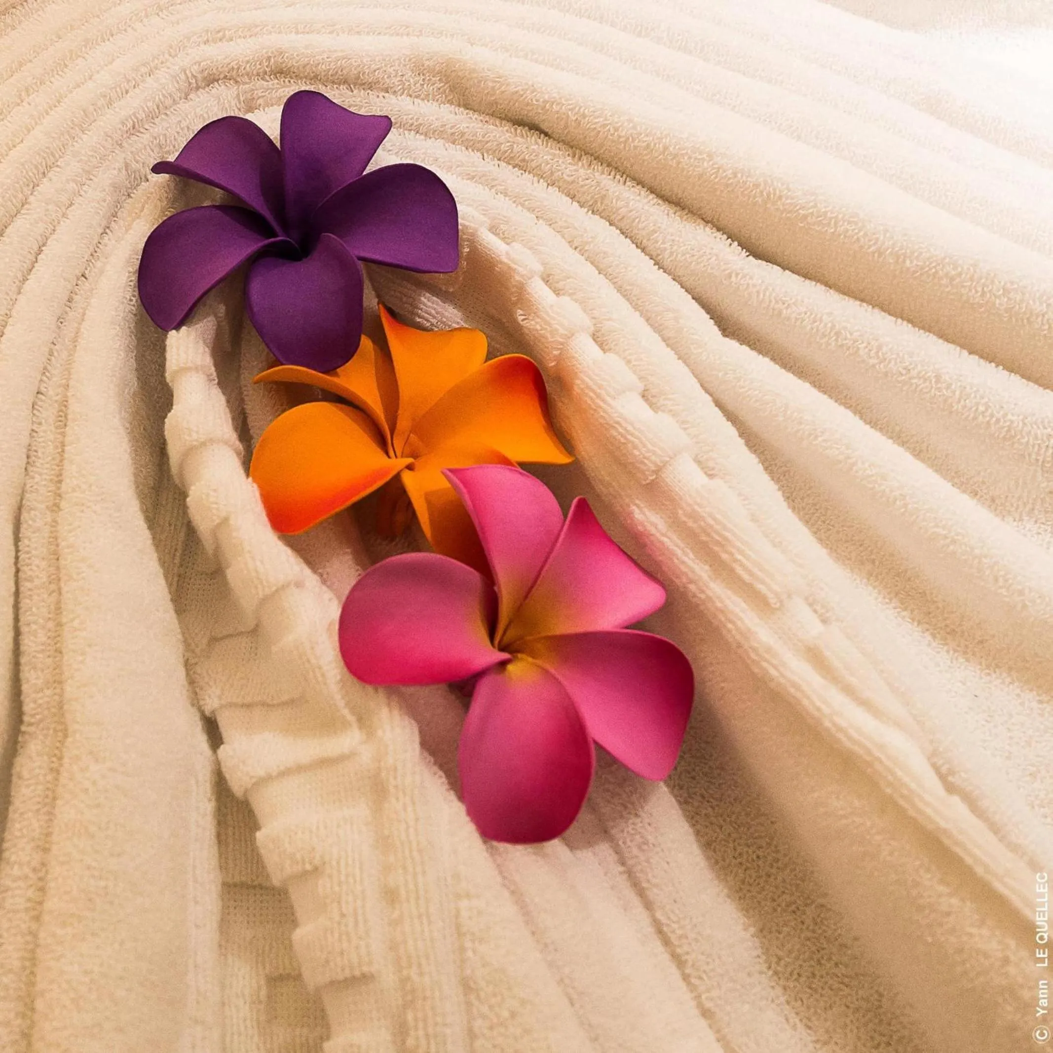 Other in Hôtel François Premier Cognac Centre