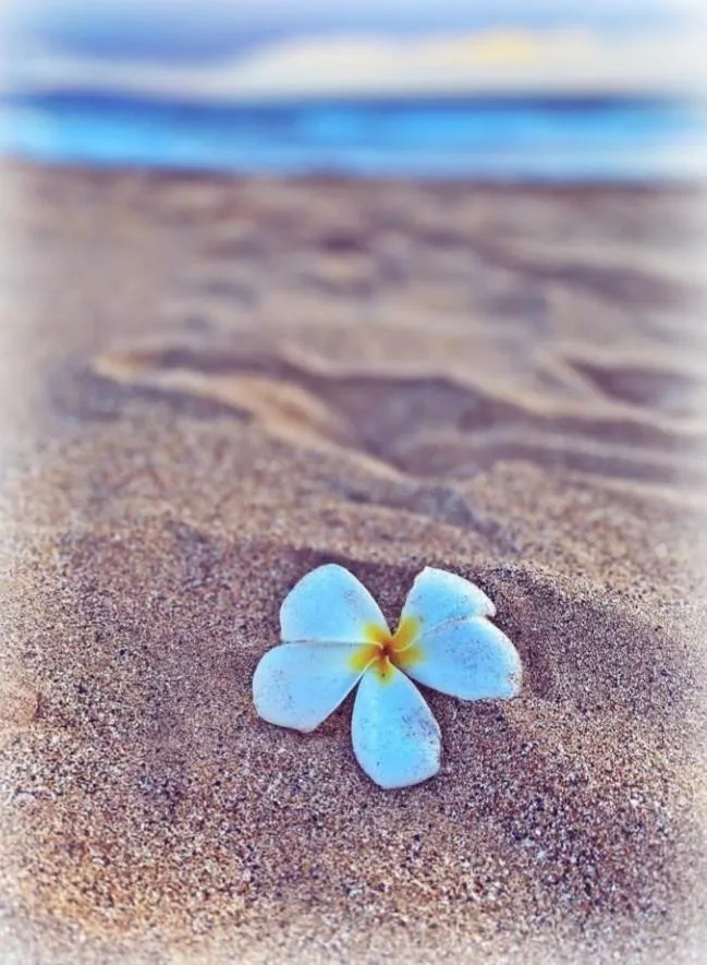 PorterHouse Beach Hotel