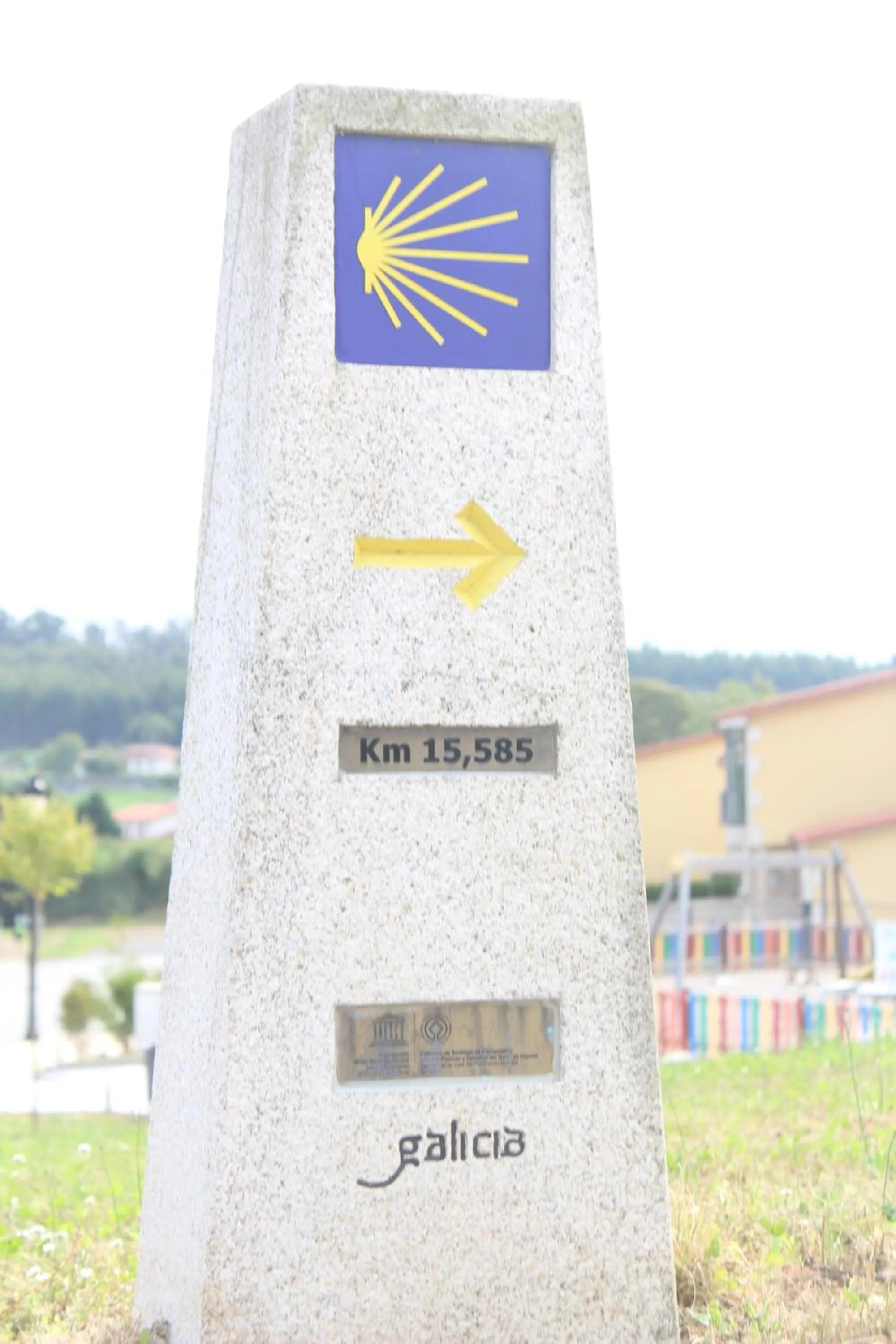 Activities in Hotel Bello