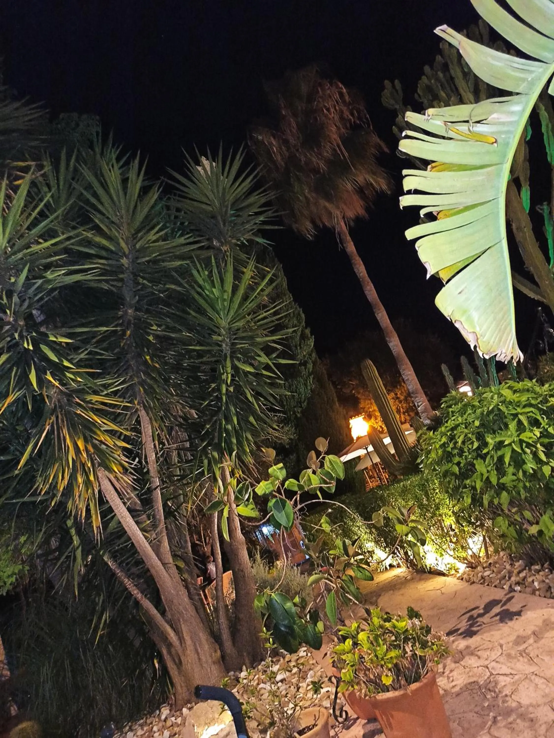 Garden in Palacio Sant Salvador