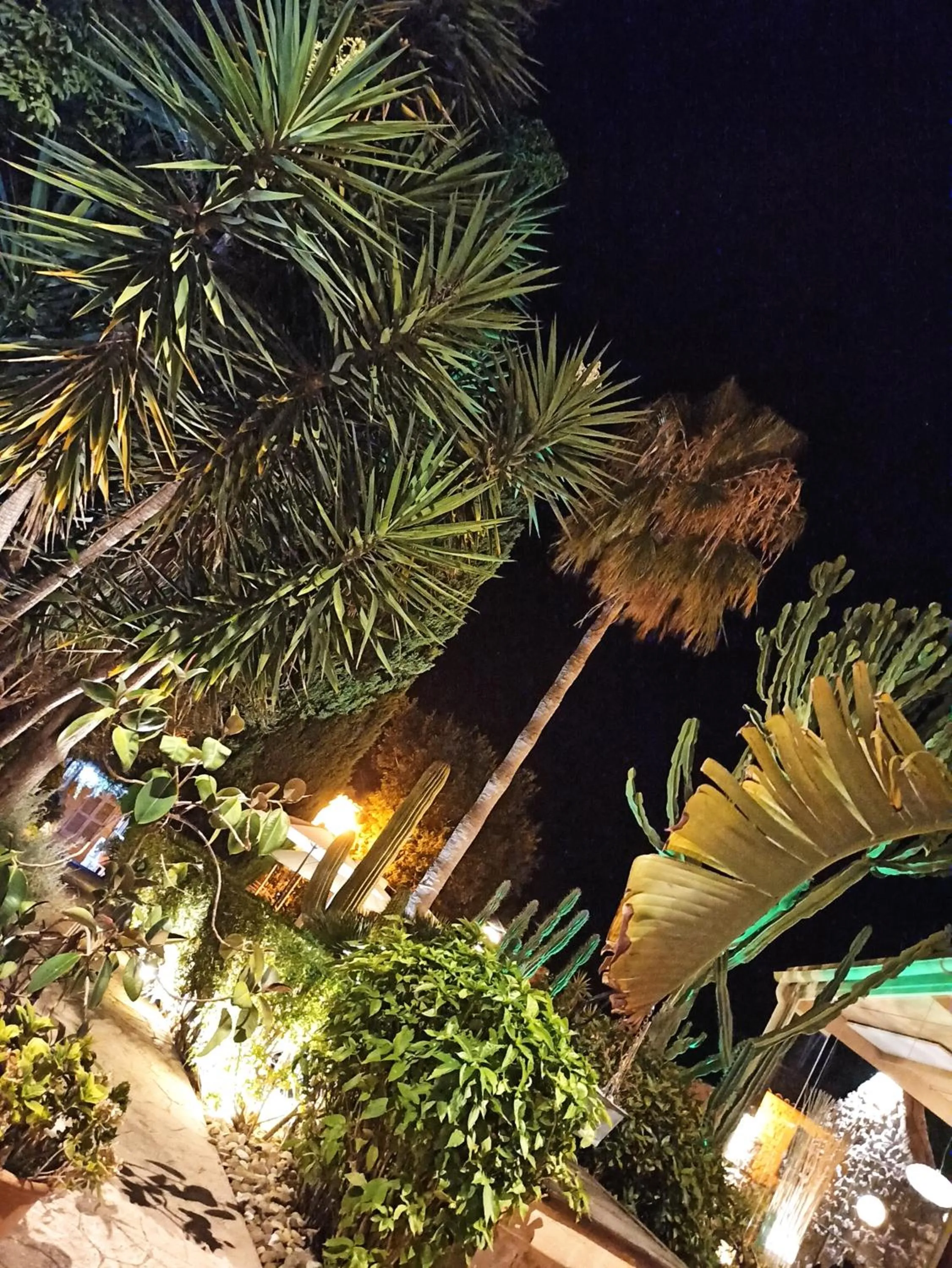 Garden in Palacio Sant Salvador