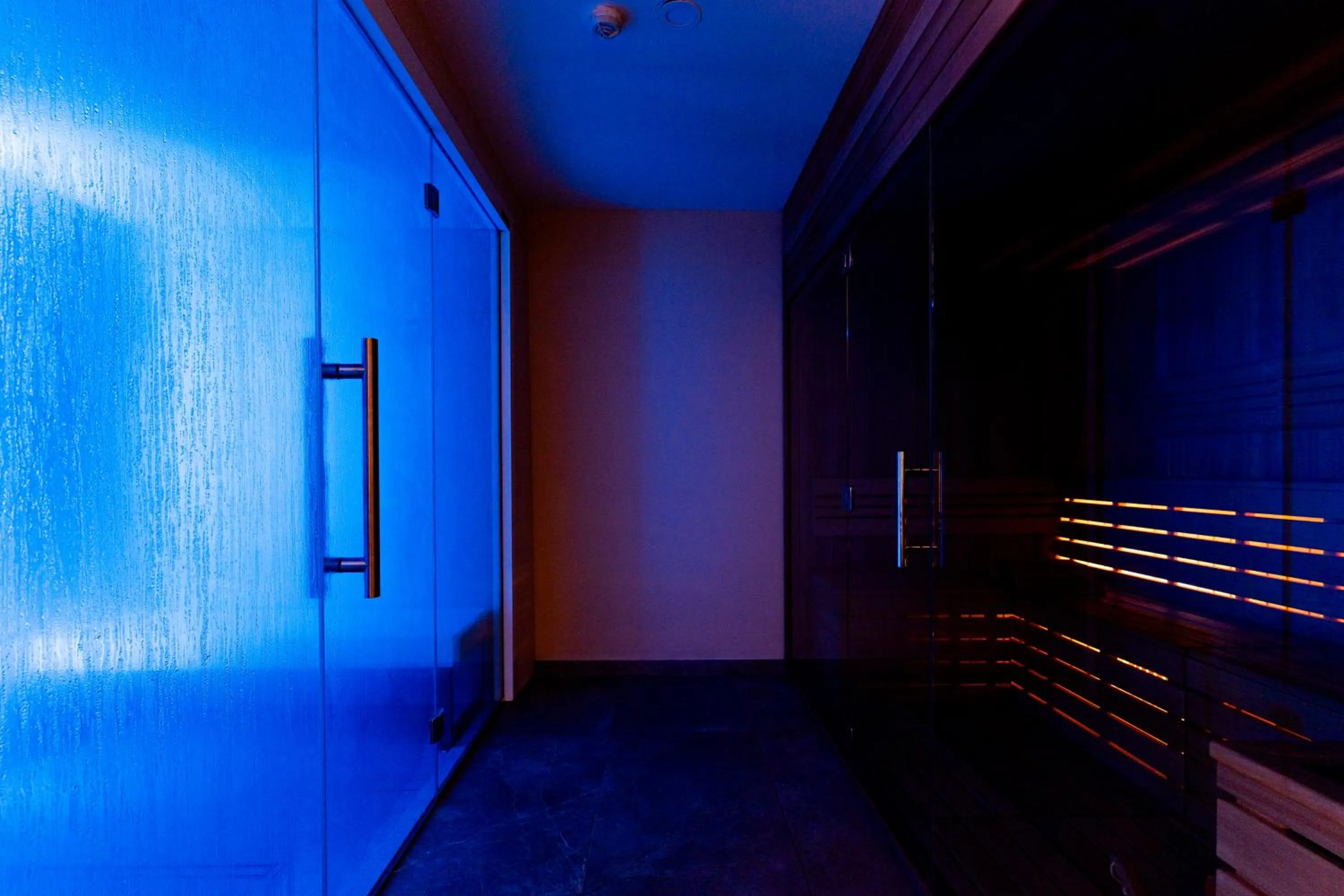 Sauna in Hotel Regina