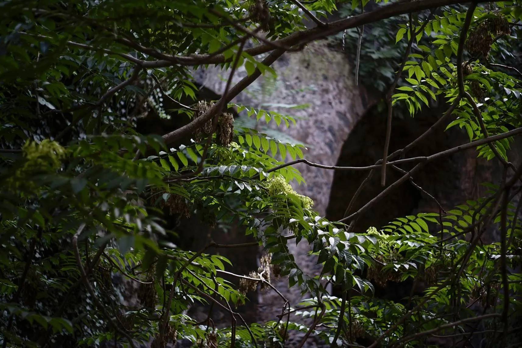 Landmark view in Relais Anfitheatro