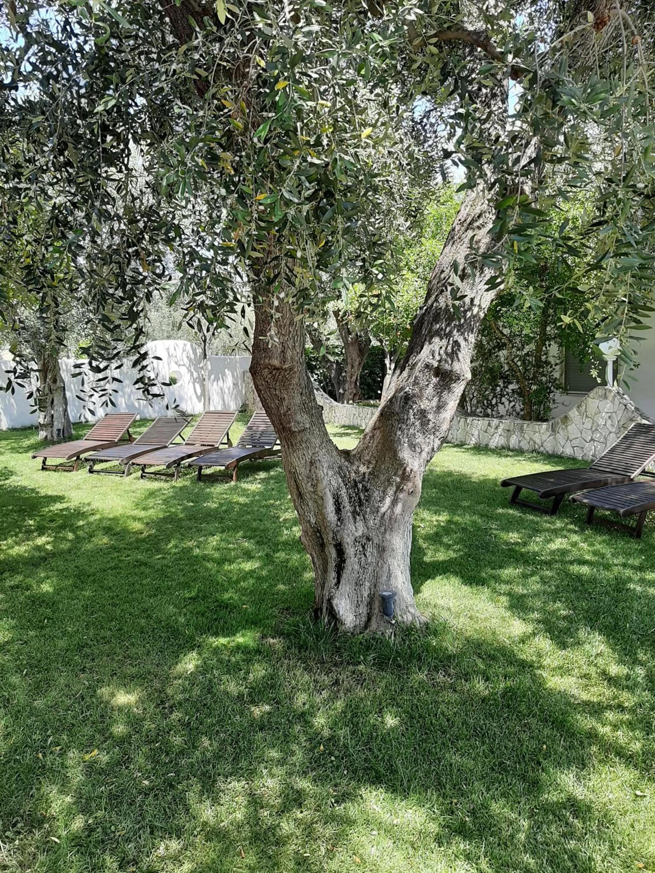 Garden in Hotel Il Melograno