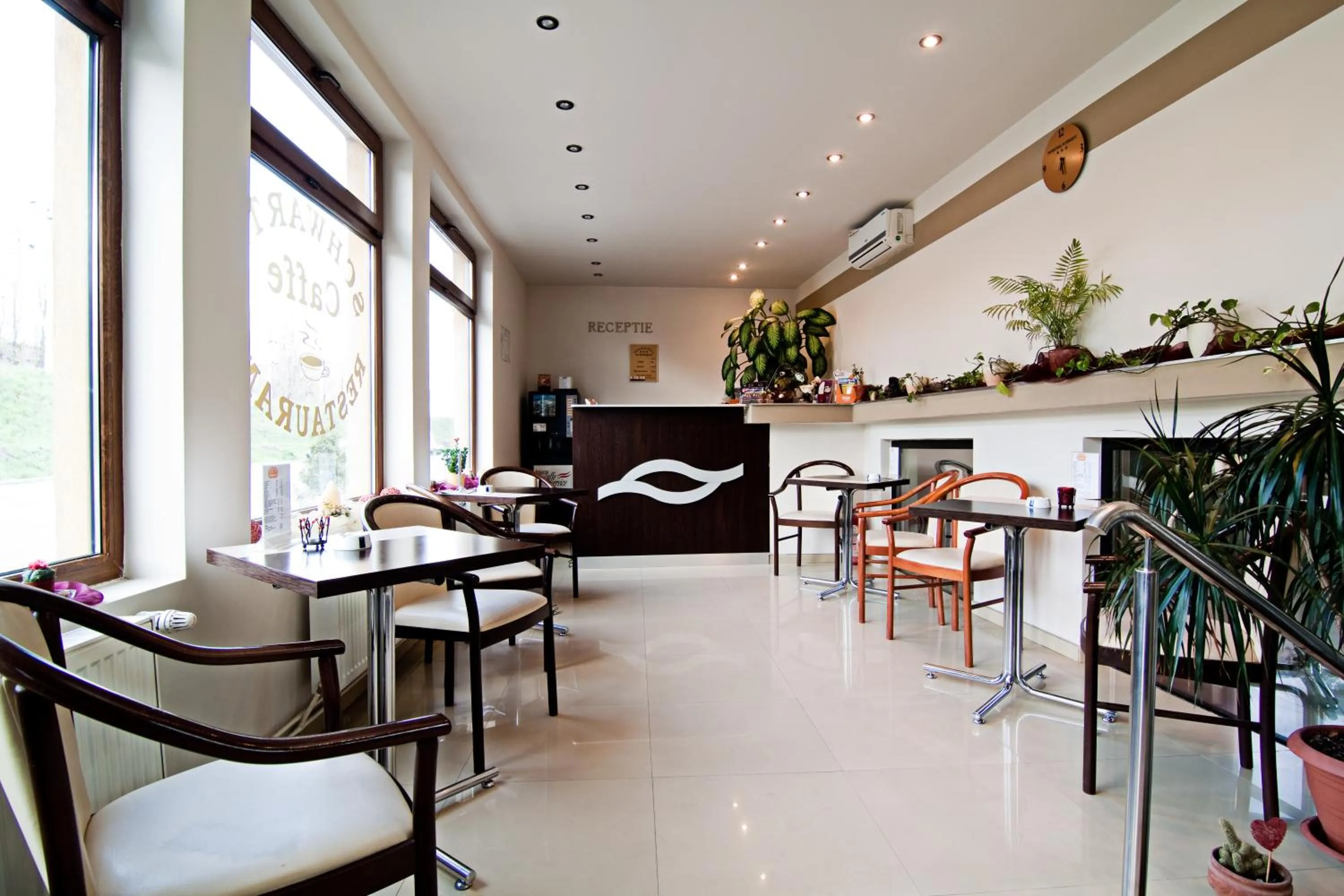 Lounge or bar in Pensiunea Schwartz