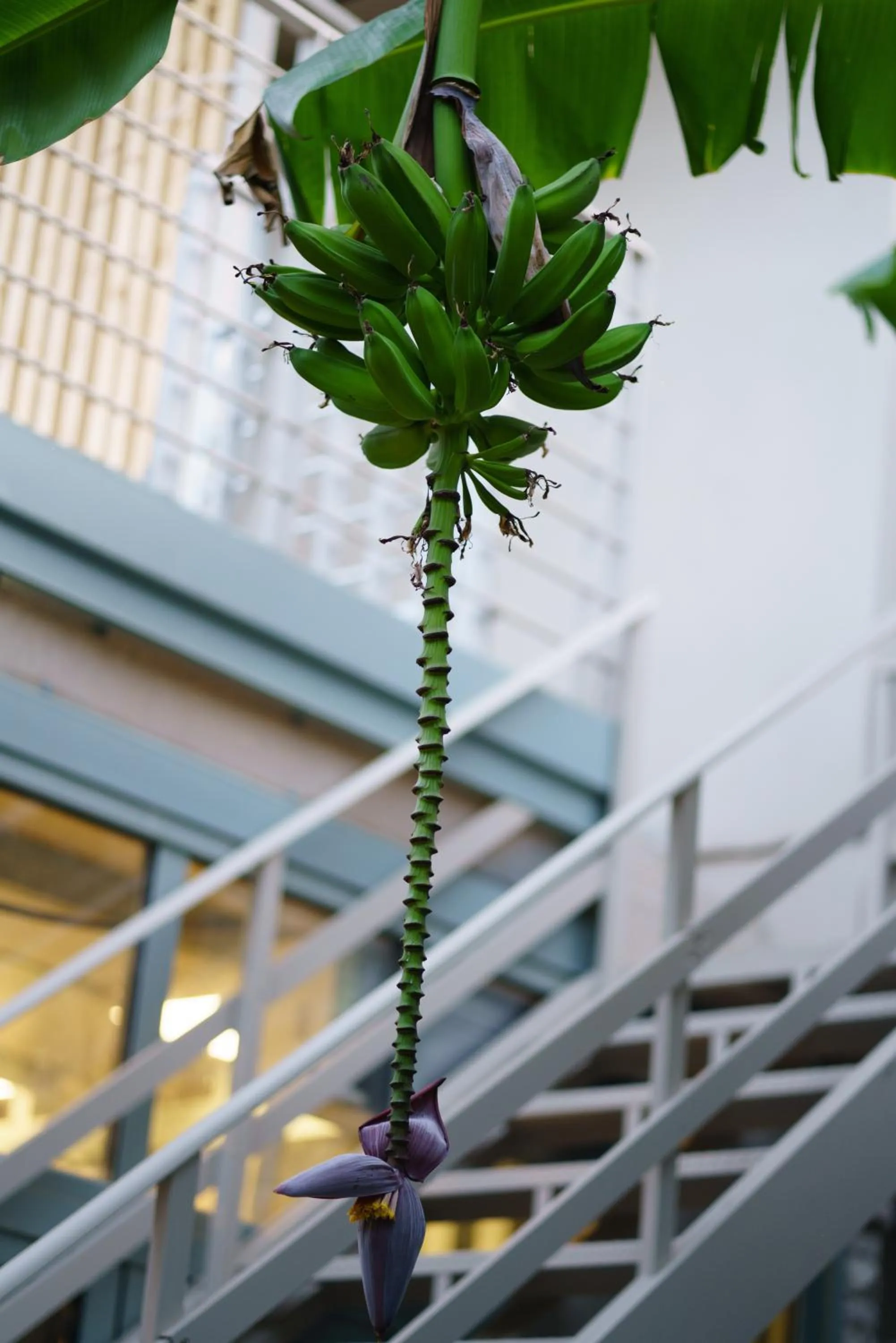 Rouda Bay Beach Hotel