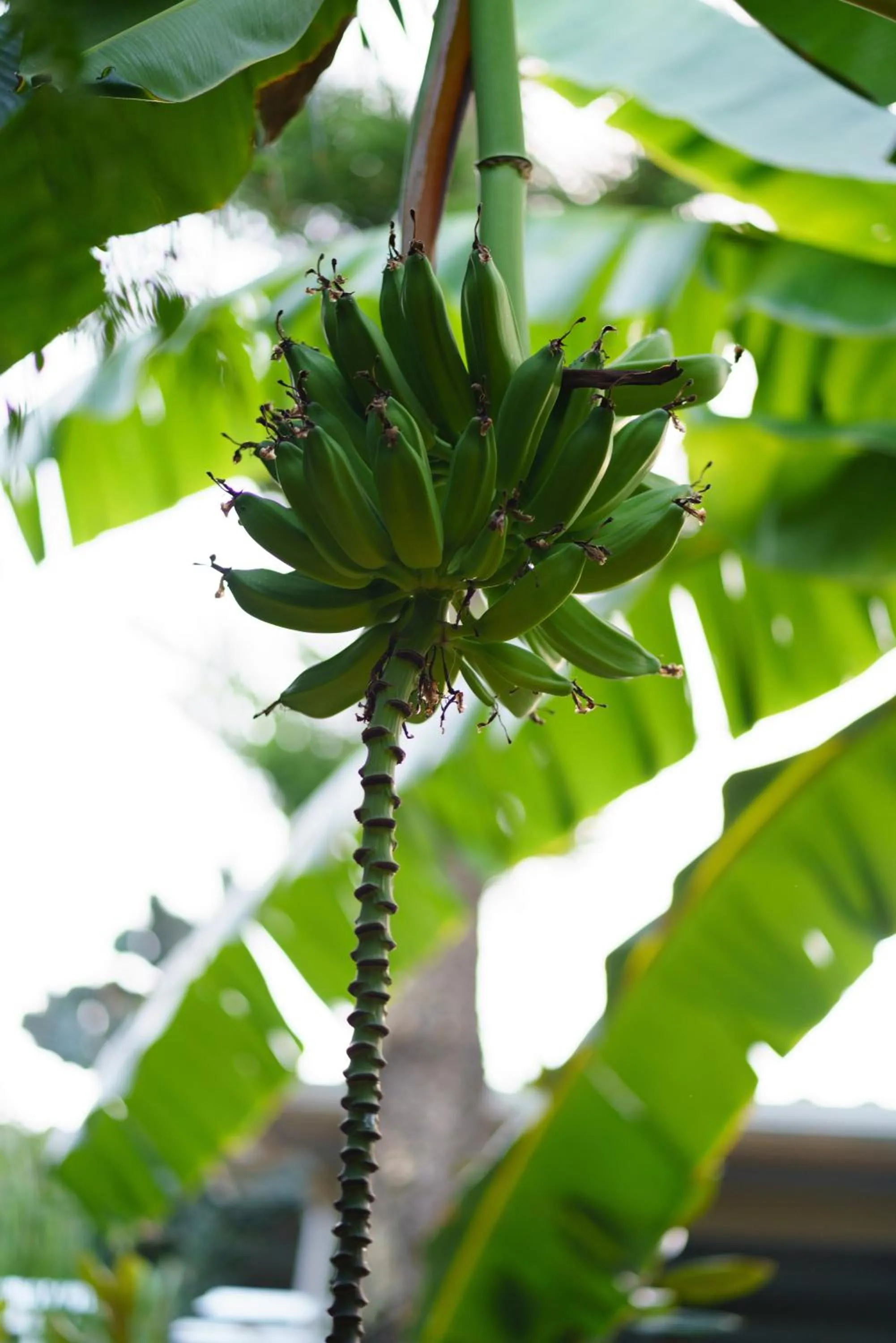 Rouda Bay Beach Hotel