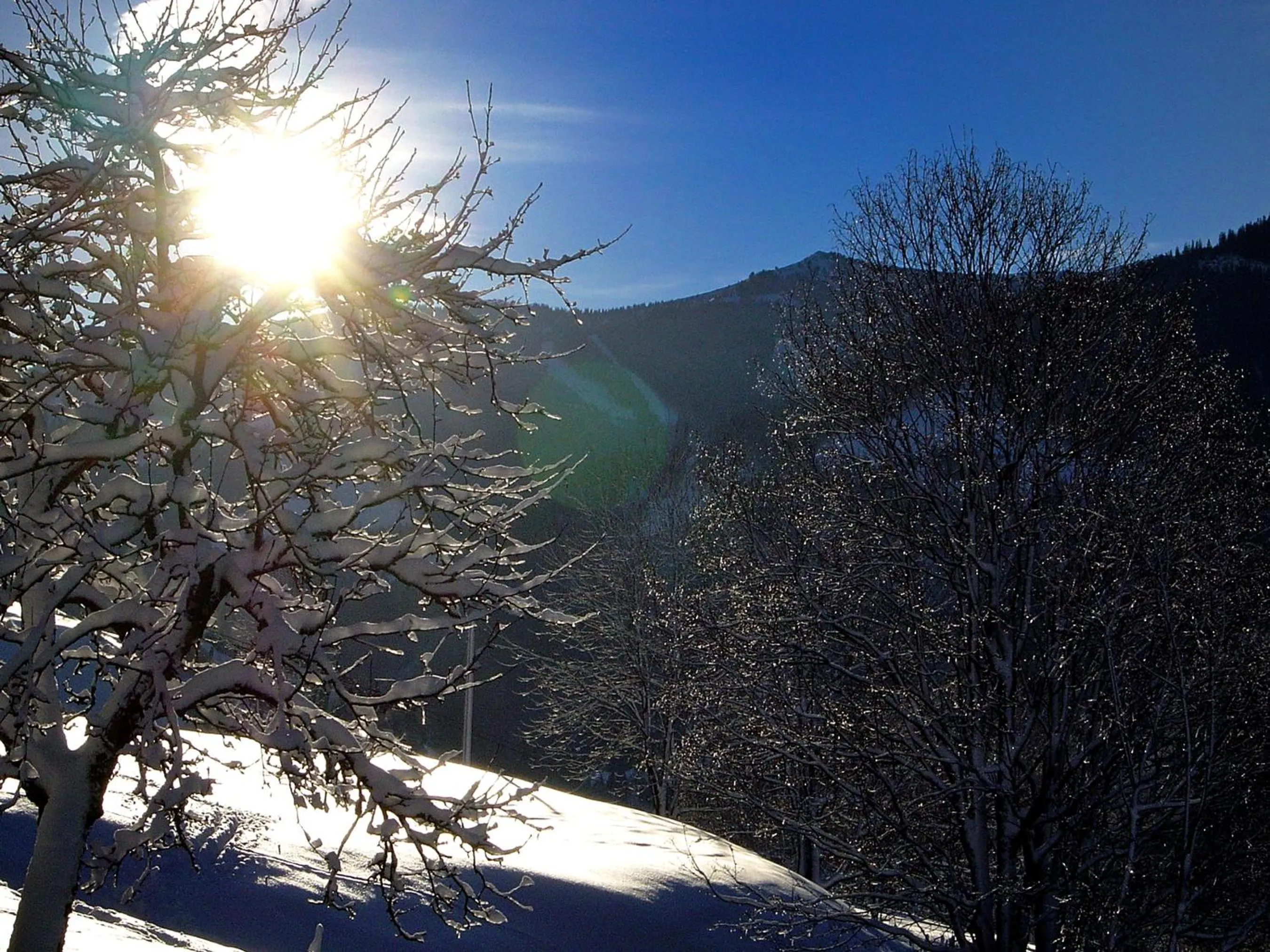 View (from property/room) in MH Appartement Hochwimmer