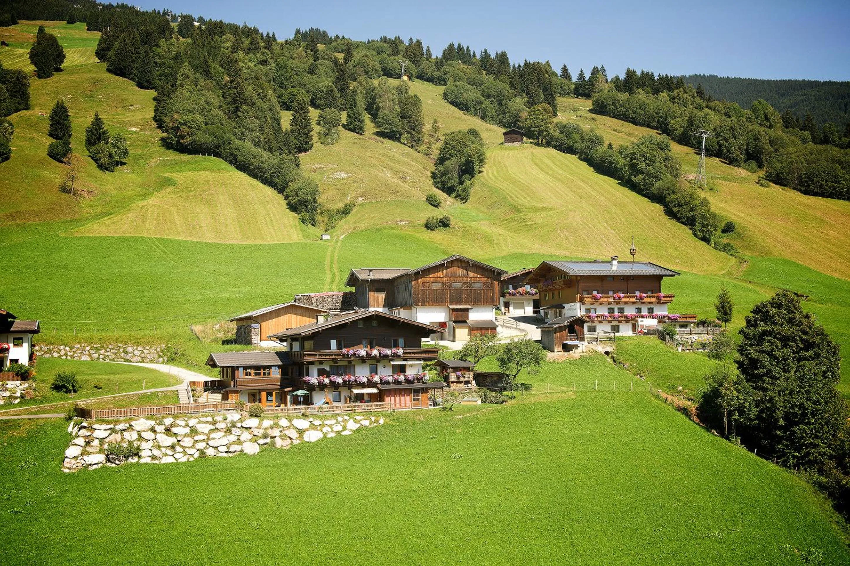 Facade/entrance in MH Appartement Hochwimmer