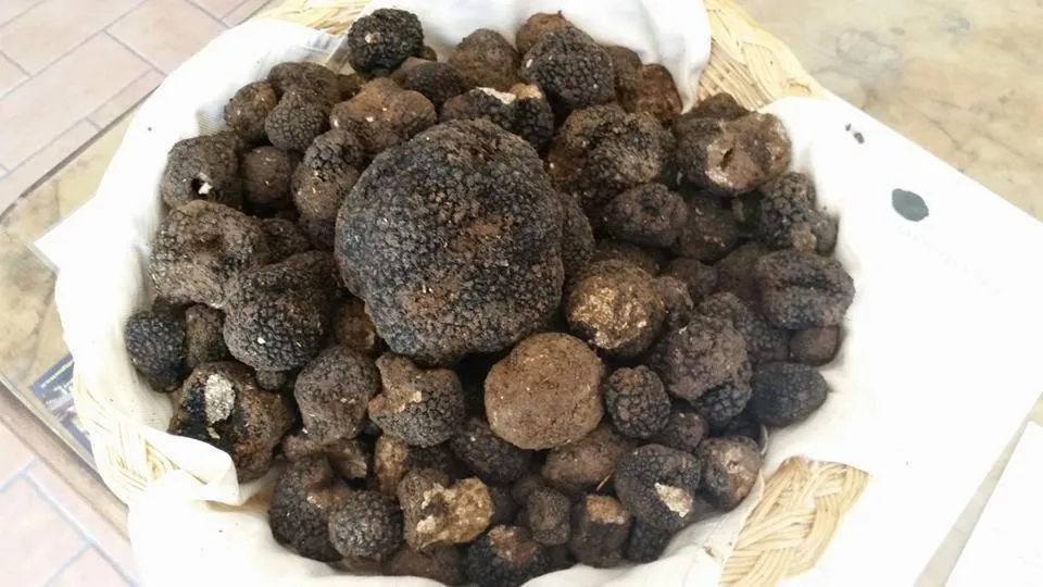 Food in Il Casale Di Ginetto