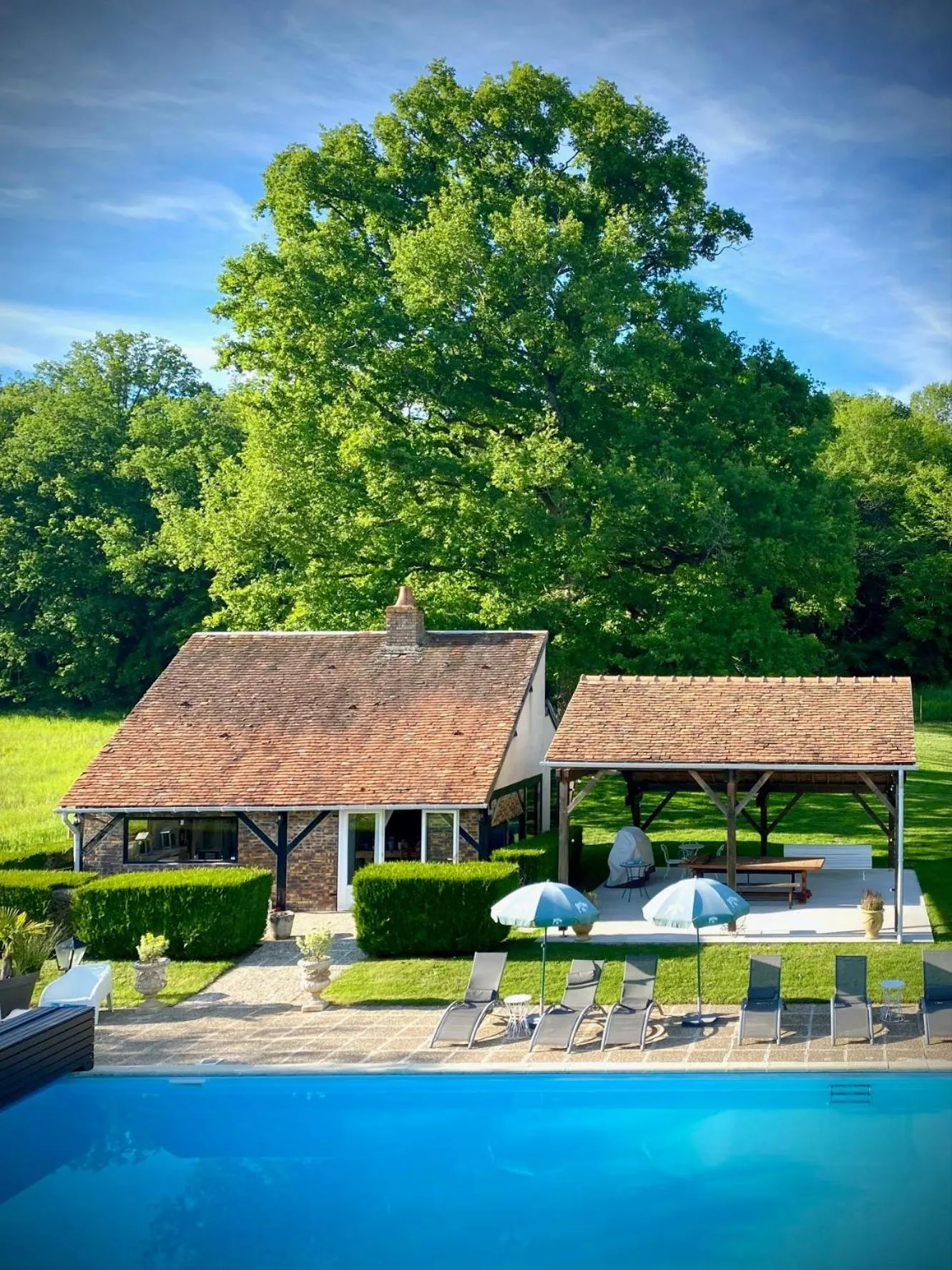 Garden in Le Petit Chateau De Sainte Colombe