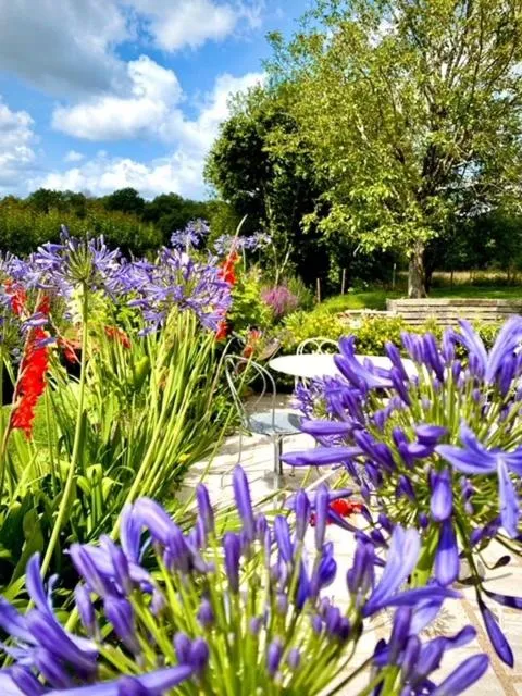 Natural landscape in Le Petit Chateau De Sainte Colombe