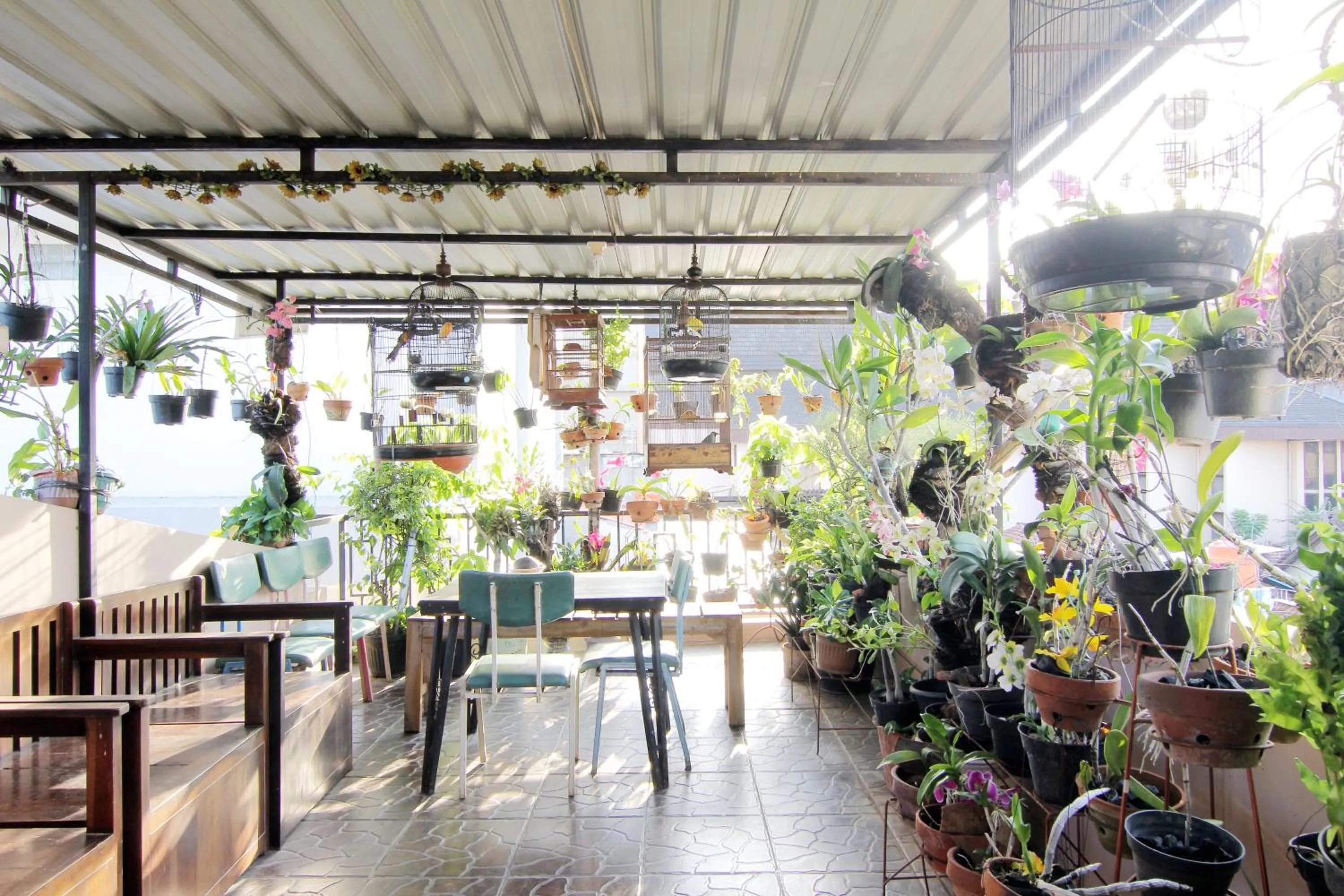 Garden in Wanderlust Homestay