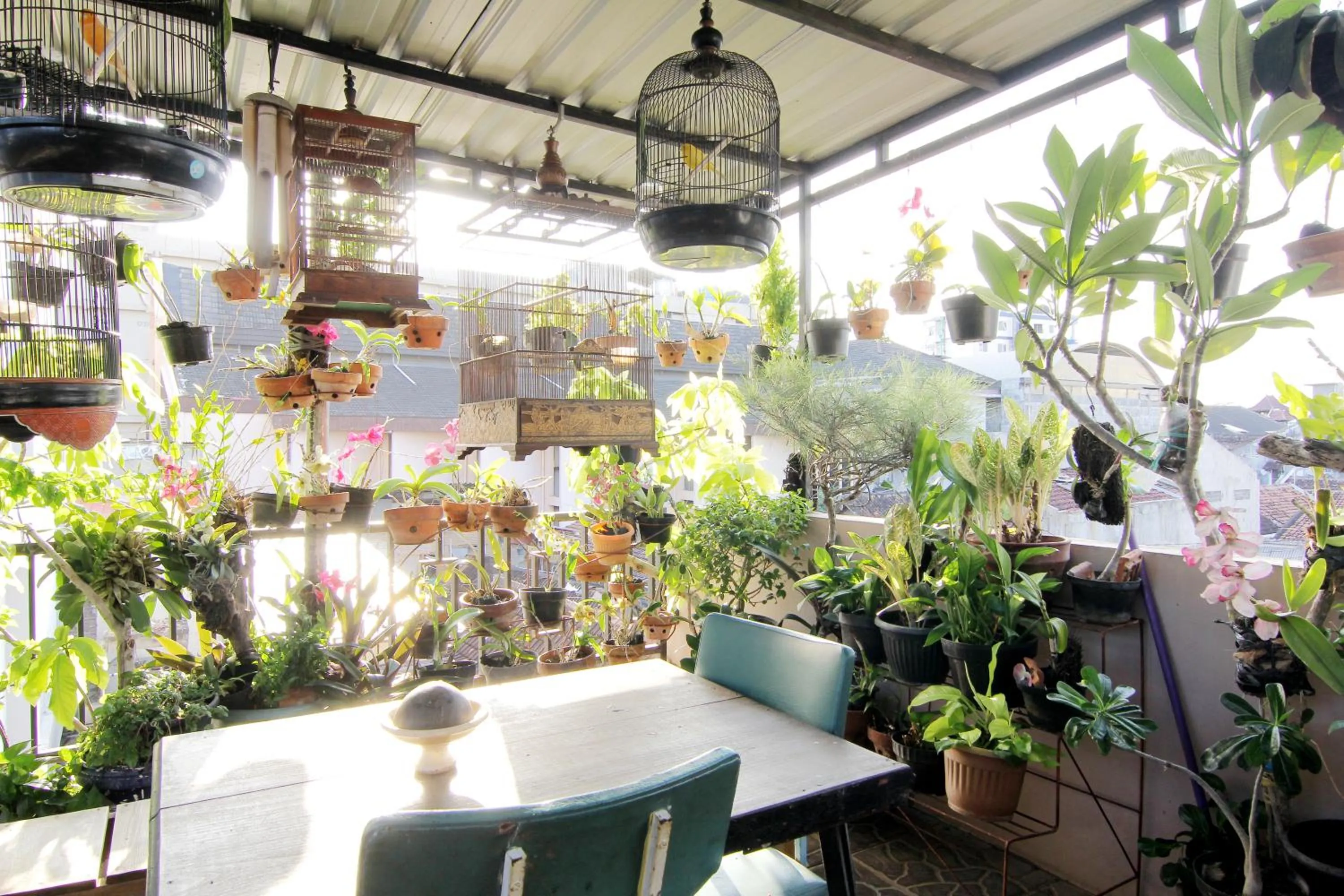 Garden in Wanderlust Homestay