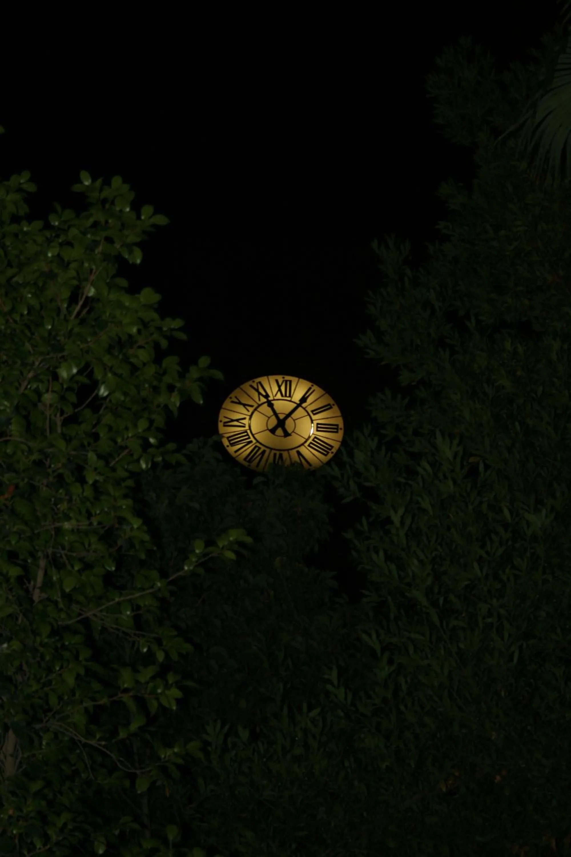 Balcony/Terrace in Hotel Posta