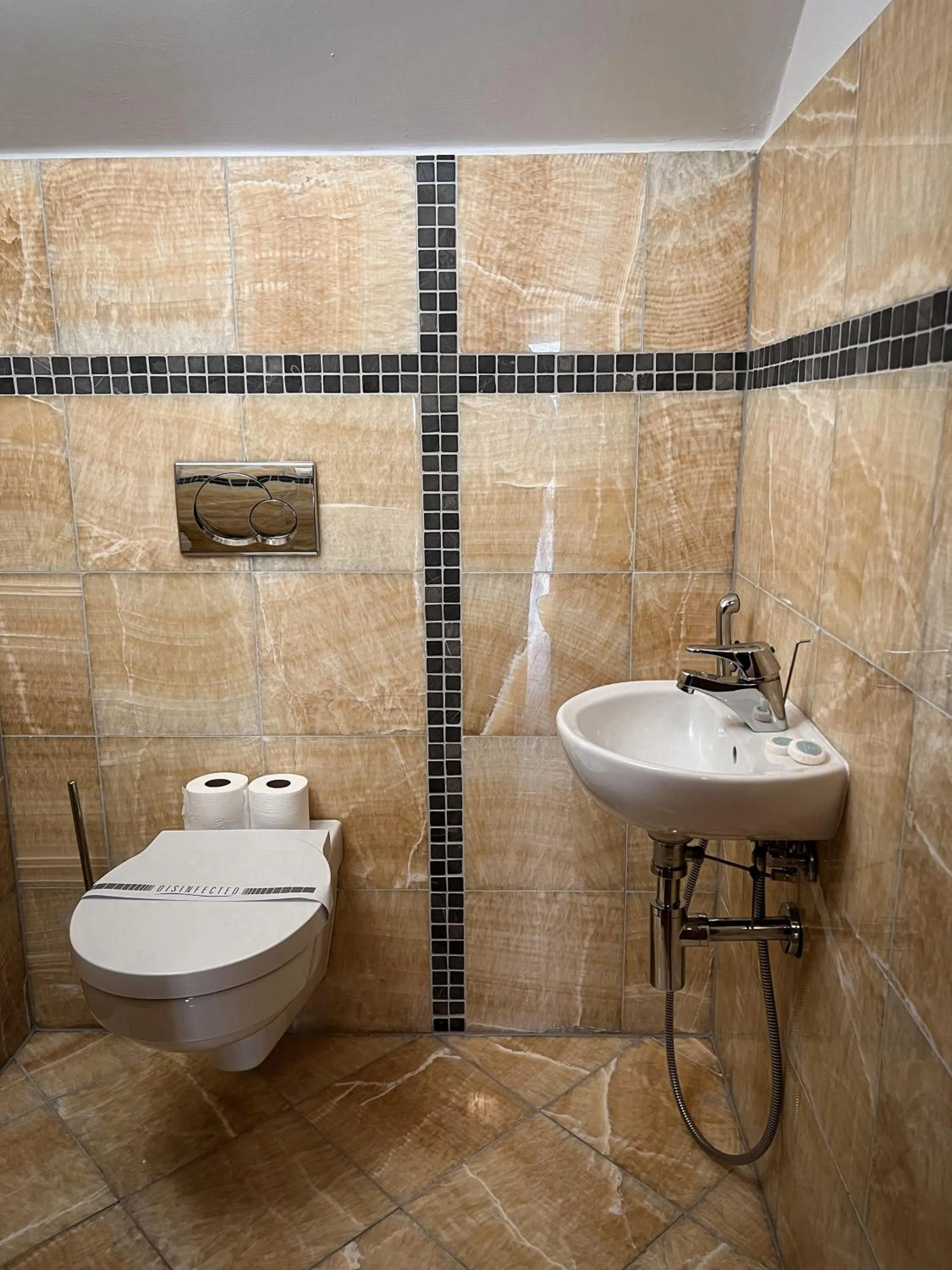 Shower in Hotel Lony