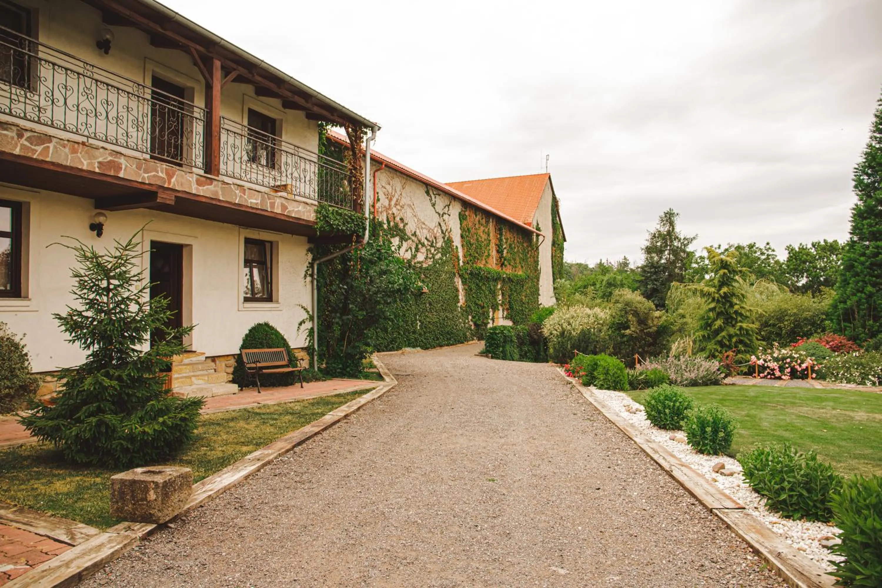 Garden in Hotel Lony