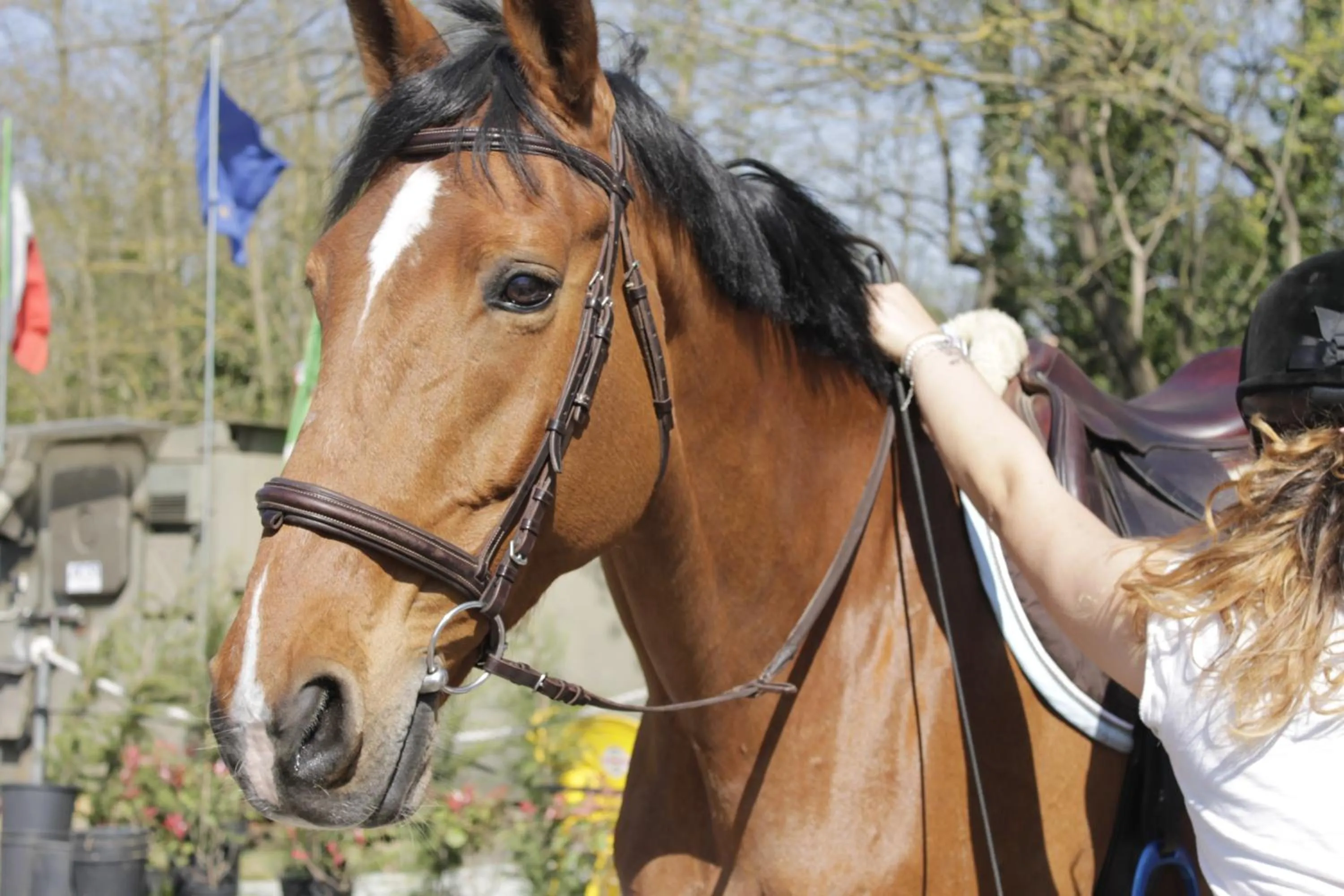 Horse-riding in Agriturismo Corte Benedetto