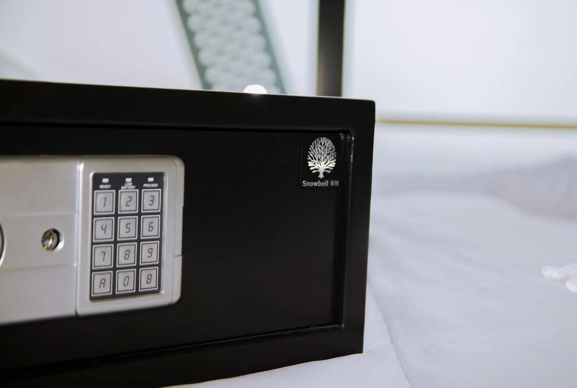 safe in The Snowbell Hotel