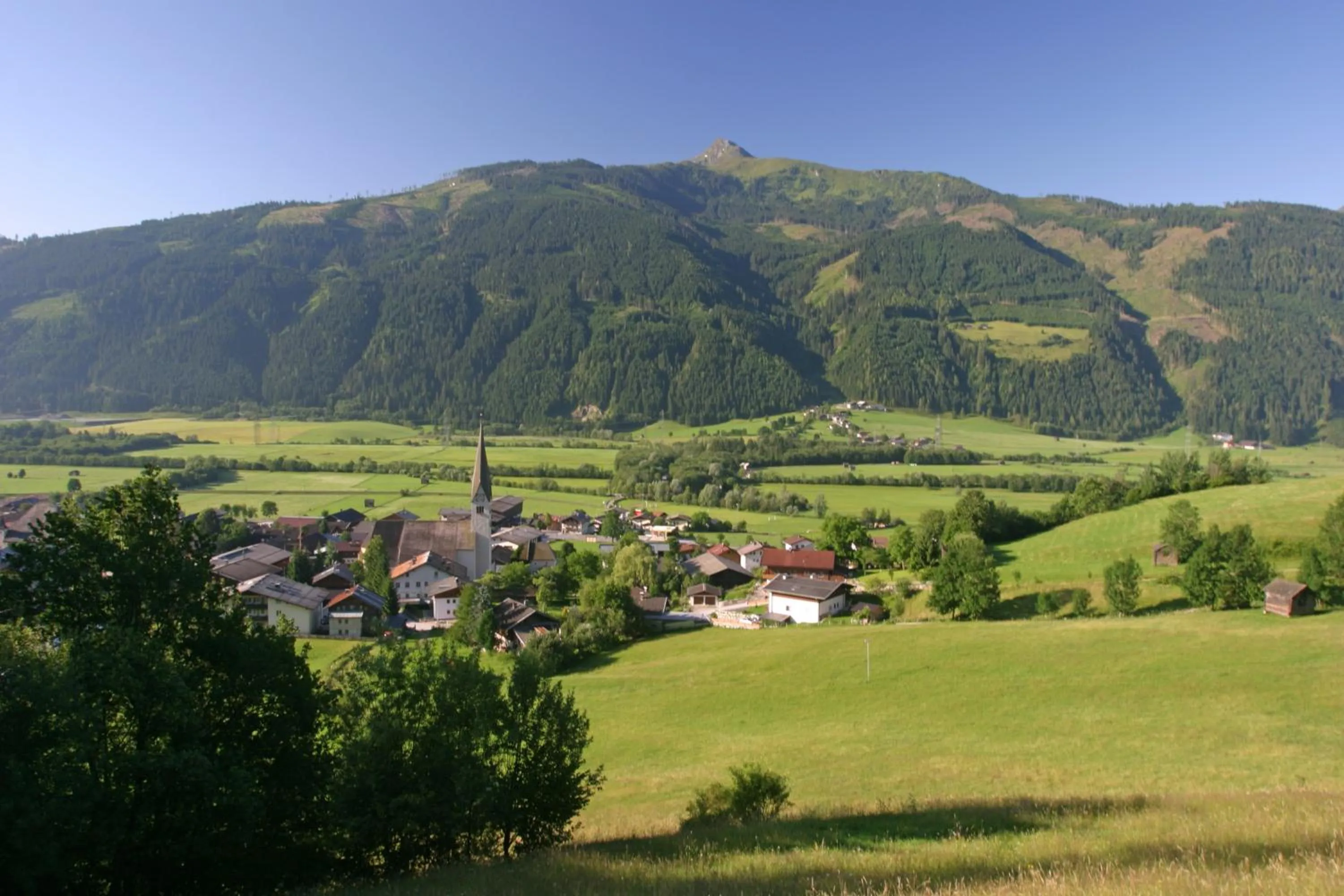 Spring in Hotel Dorfgasthof Schlösslstube