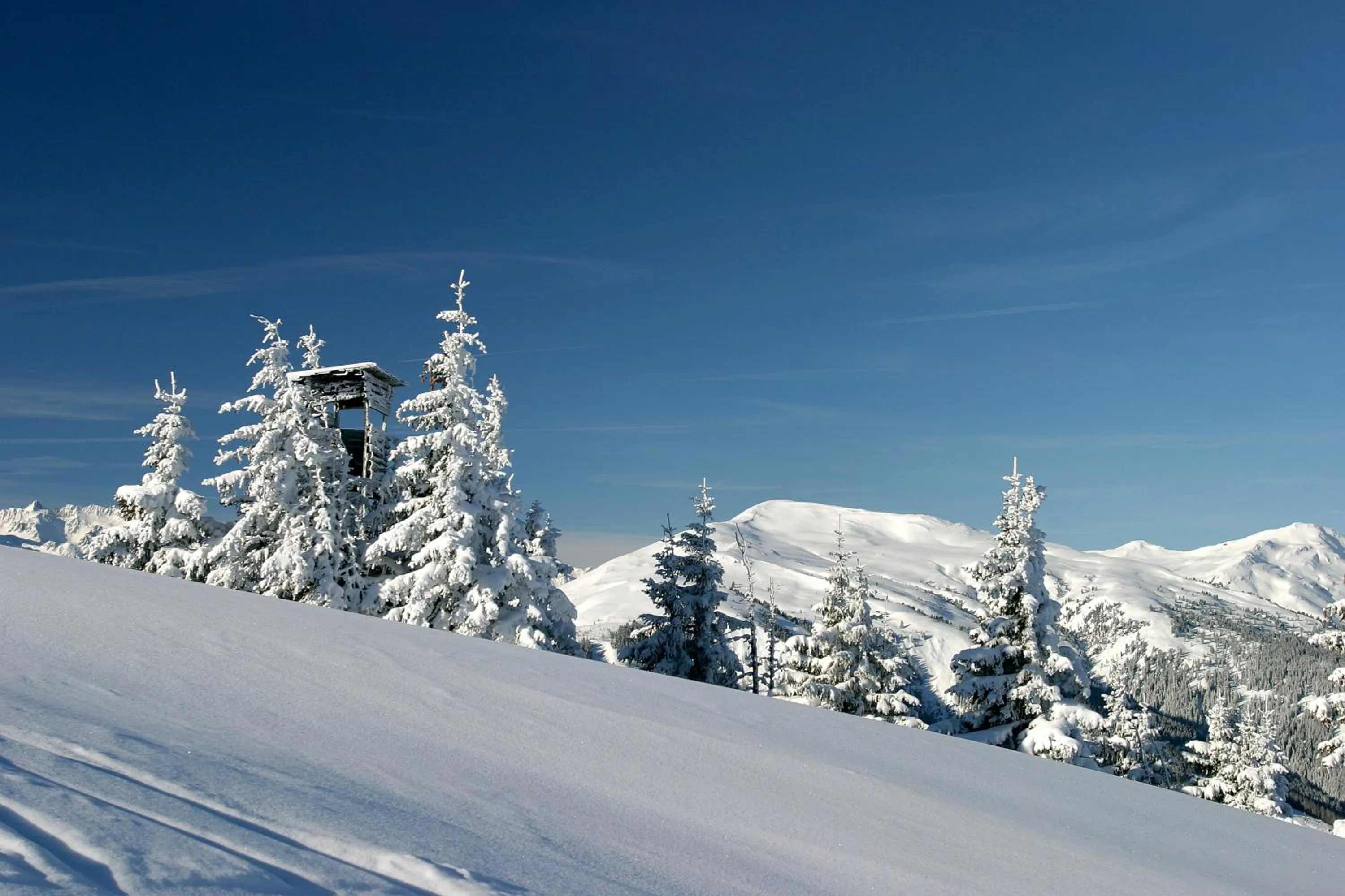 Day in Hotel Dorfgasthof Schlösslstube