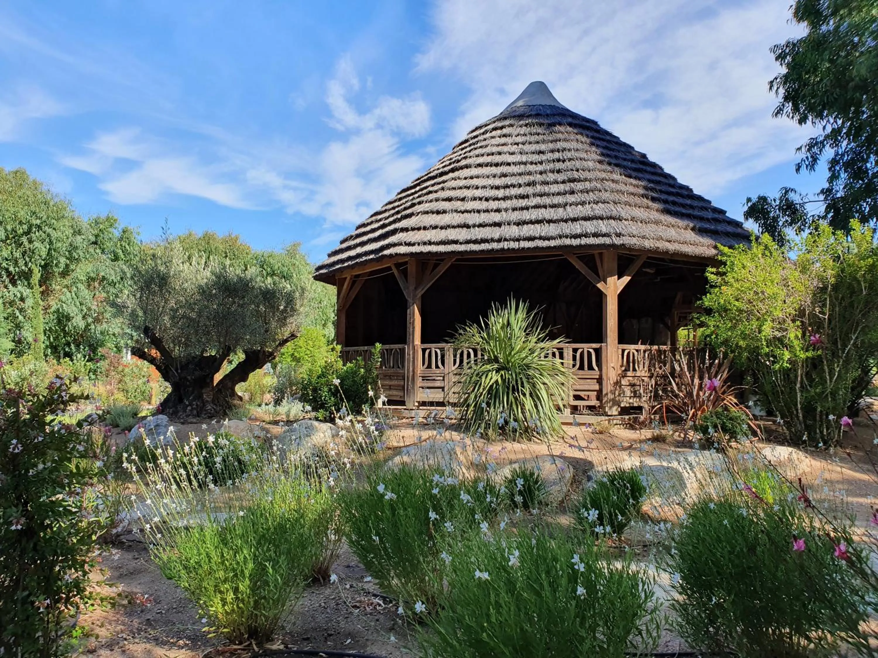 Garden in Camping La Pinède