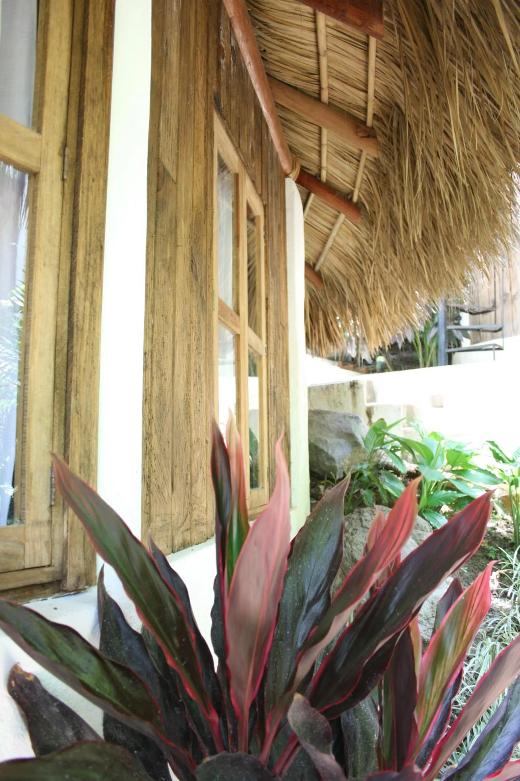 Patio in Cabañas Biuzaa
