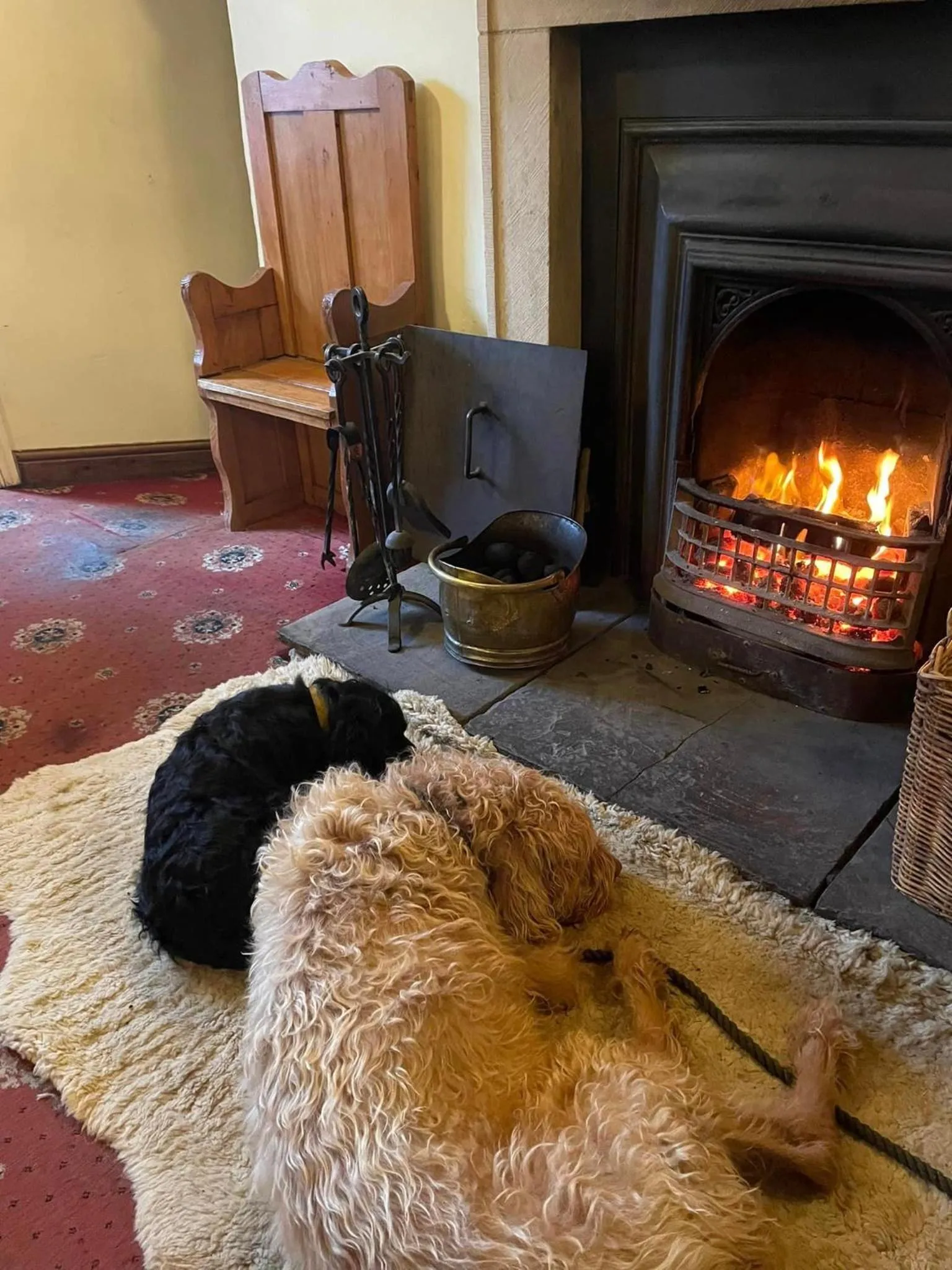 Pets in The Bridge Inn