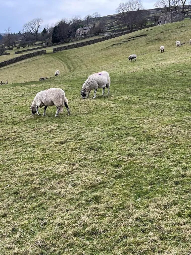 Natural landscape in The Bridge Inn