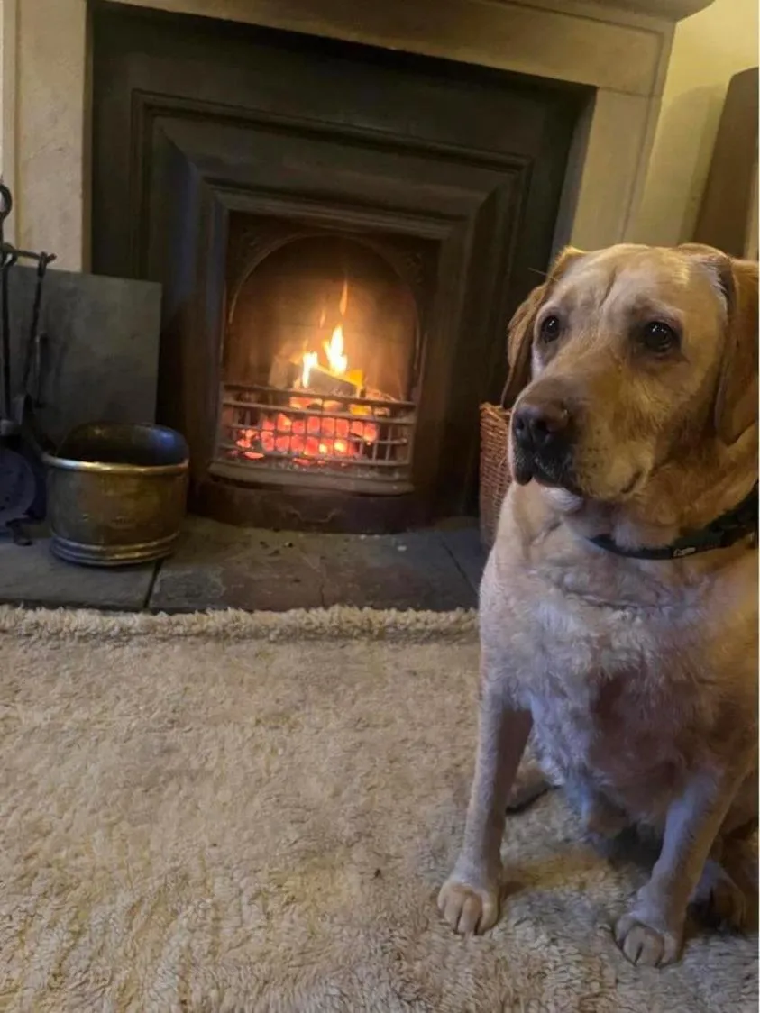 Pets in The Bridge Inn