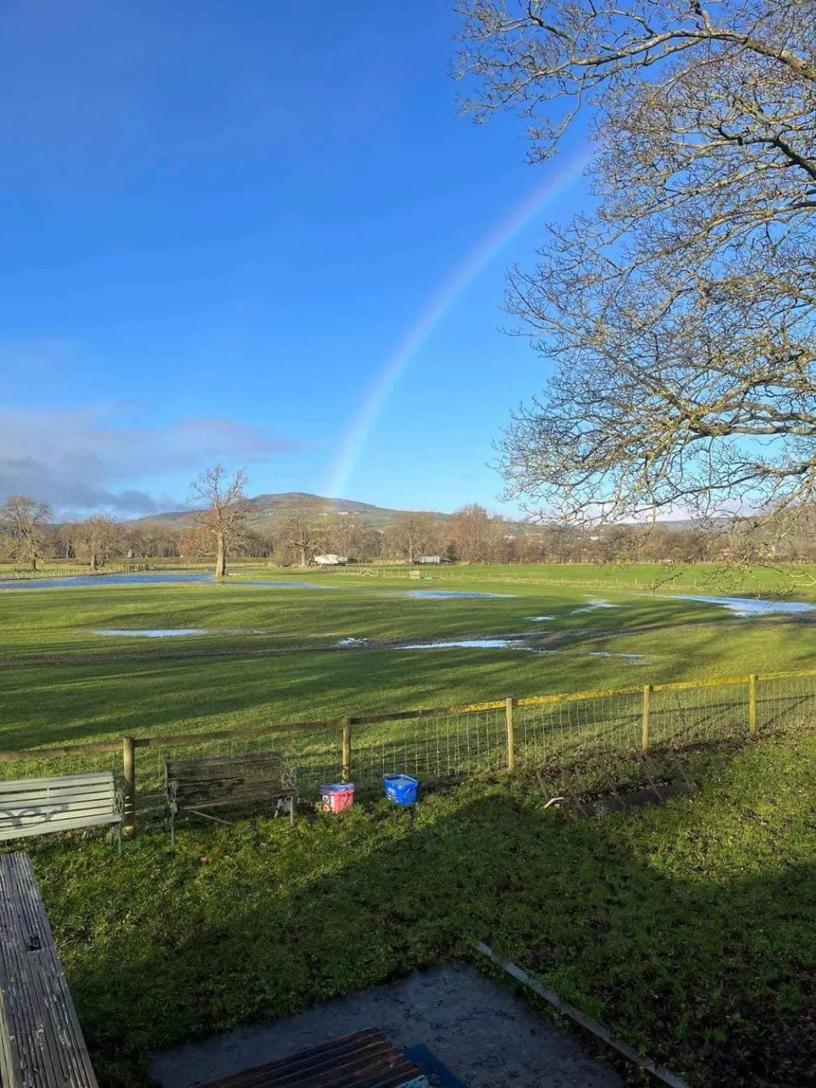 Natural landscape in The Bridge Inn