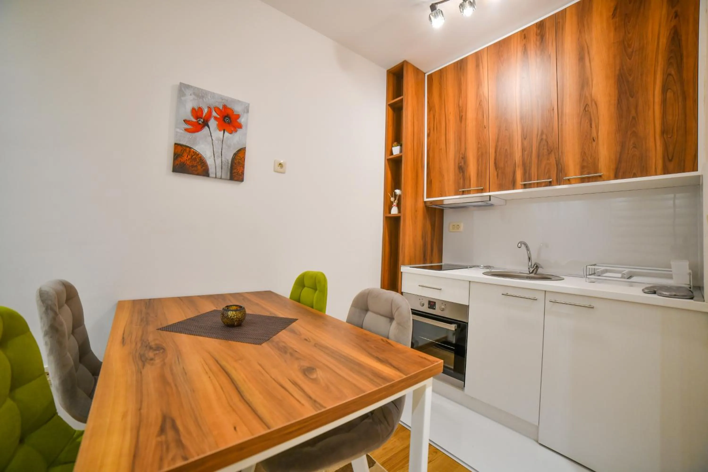 Kitchen or kitchenette in Balkan Hill Zlatibor