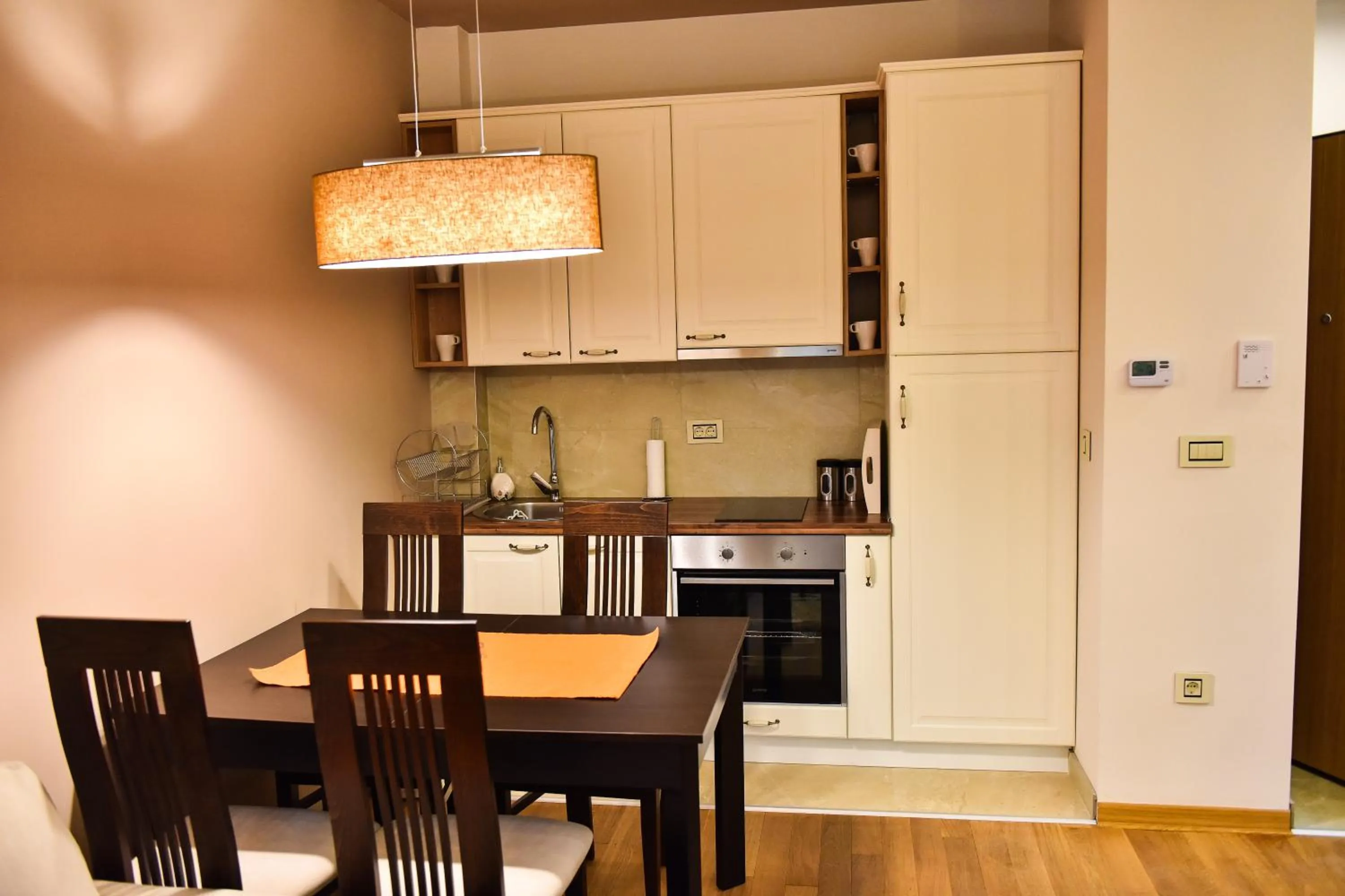 Kitchen or kitchenette in Balkan Hill Zlatibor
