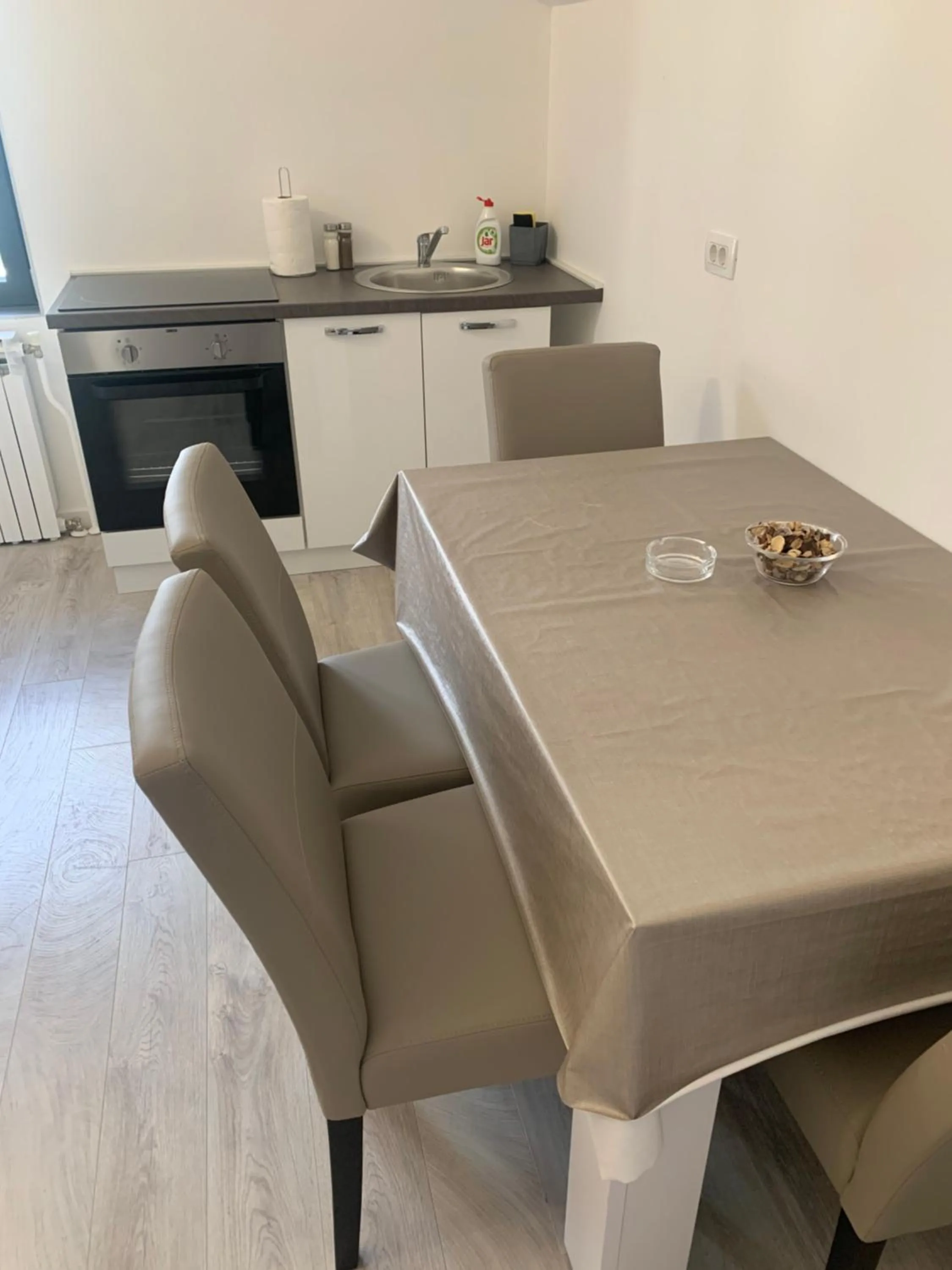 Kitchen or kitchenette in Filipovic rent a car & apartments