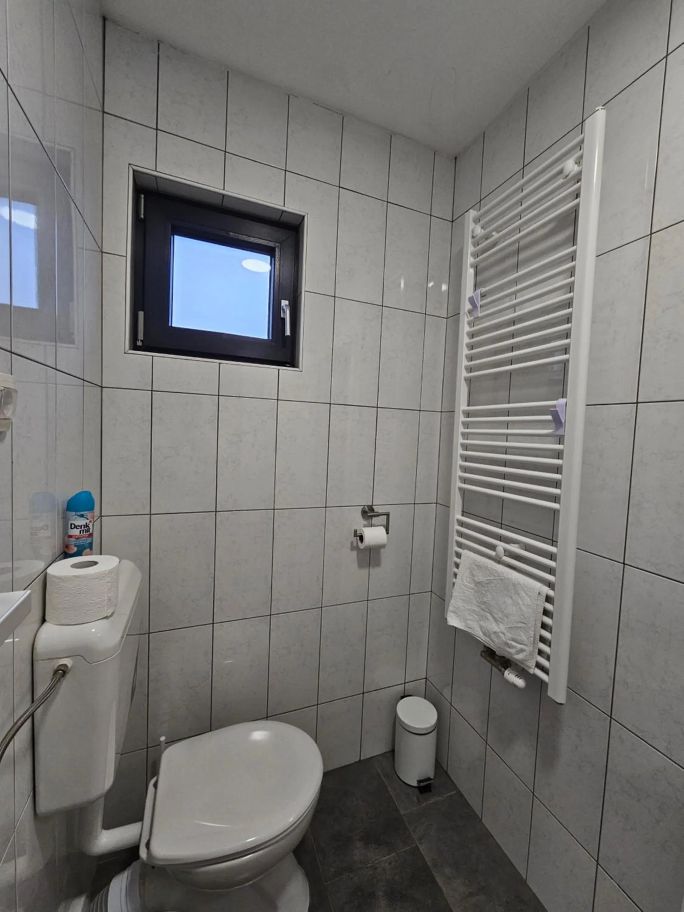 Toilet in Filipovic rent a car & apartments