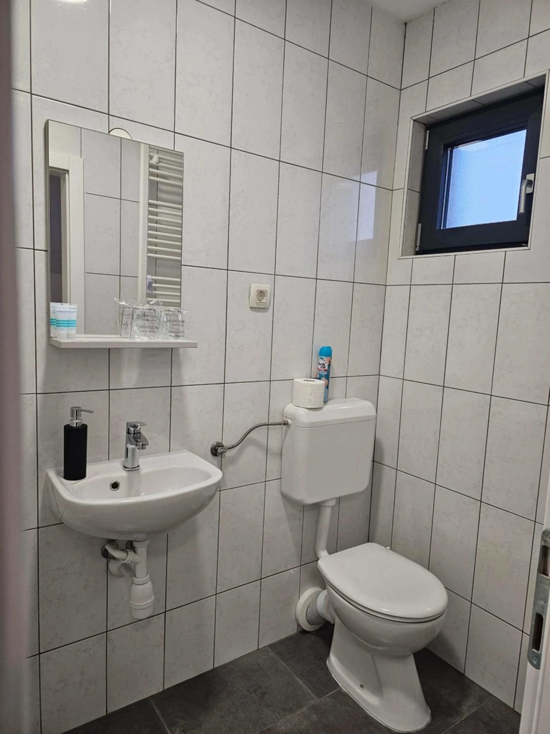 Toilet in Filipovic rent a car & apartments