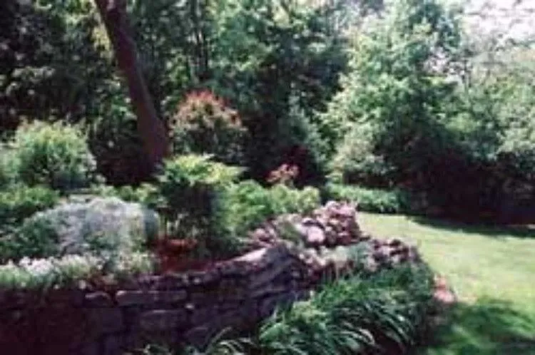 Garden in Red Elephant Inn Bed and Breakfast
