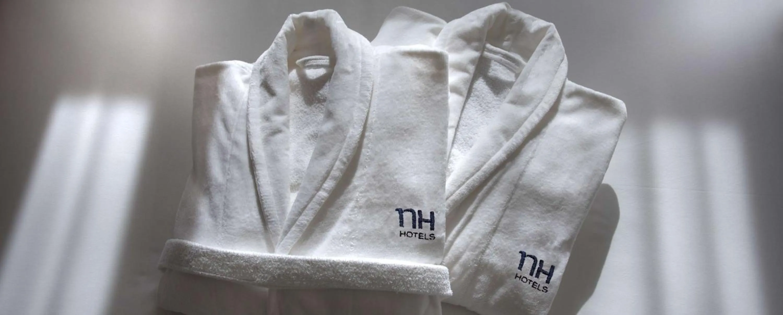 Other in NH Toulouse Airport