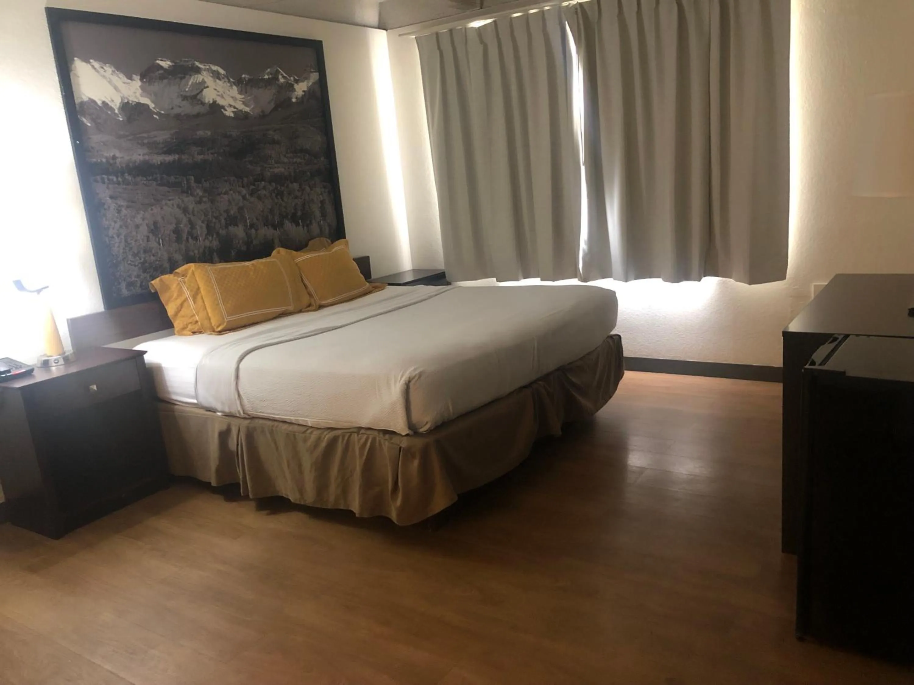 Bed in Budget Inn Denver Downtown