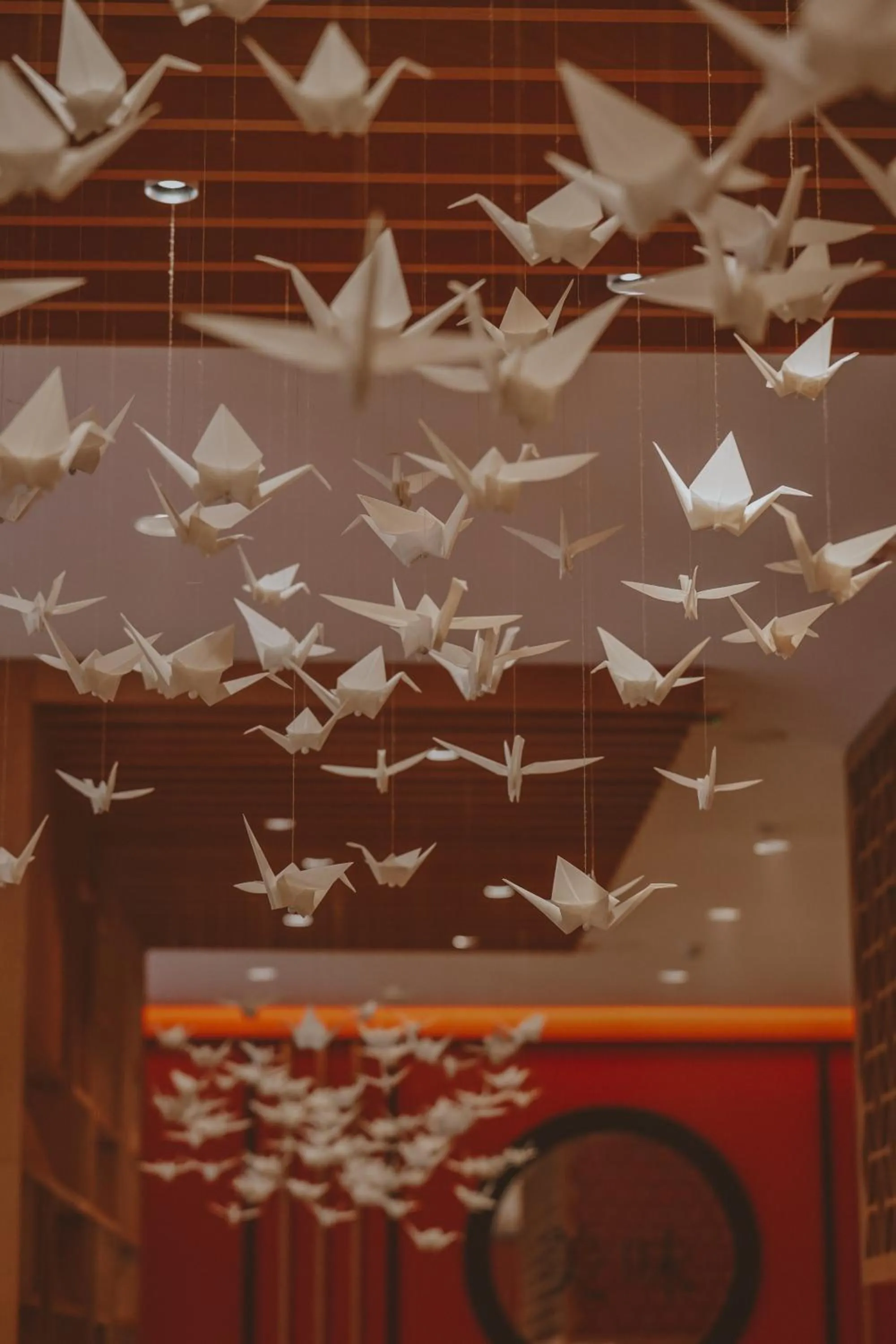 Restaurant/places to eat in Astoria Hotel All Inclusive & Private Beach