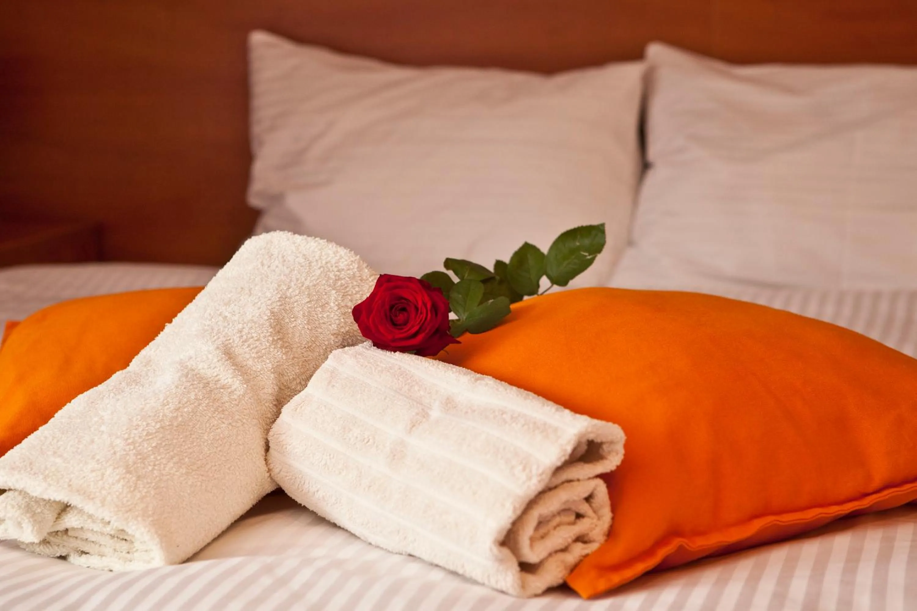 Photo of the whole room, Bed in Resort Holiday Natural - Gościniec Zacisze