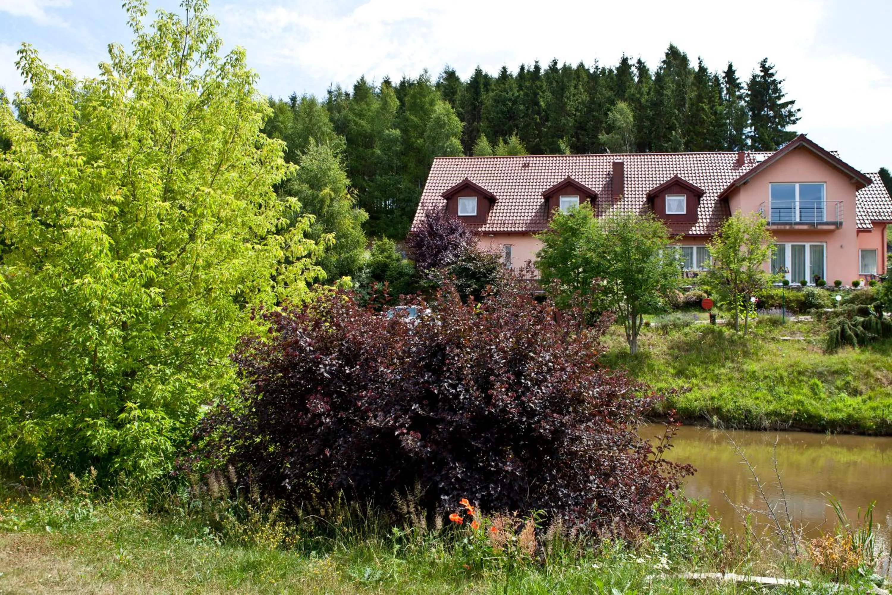 Natural landscape in Resort Holiday Natural - Gościniec Zacisze