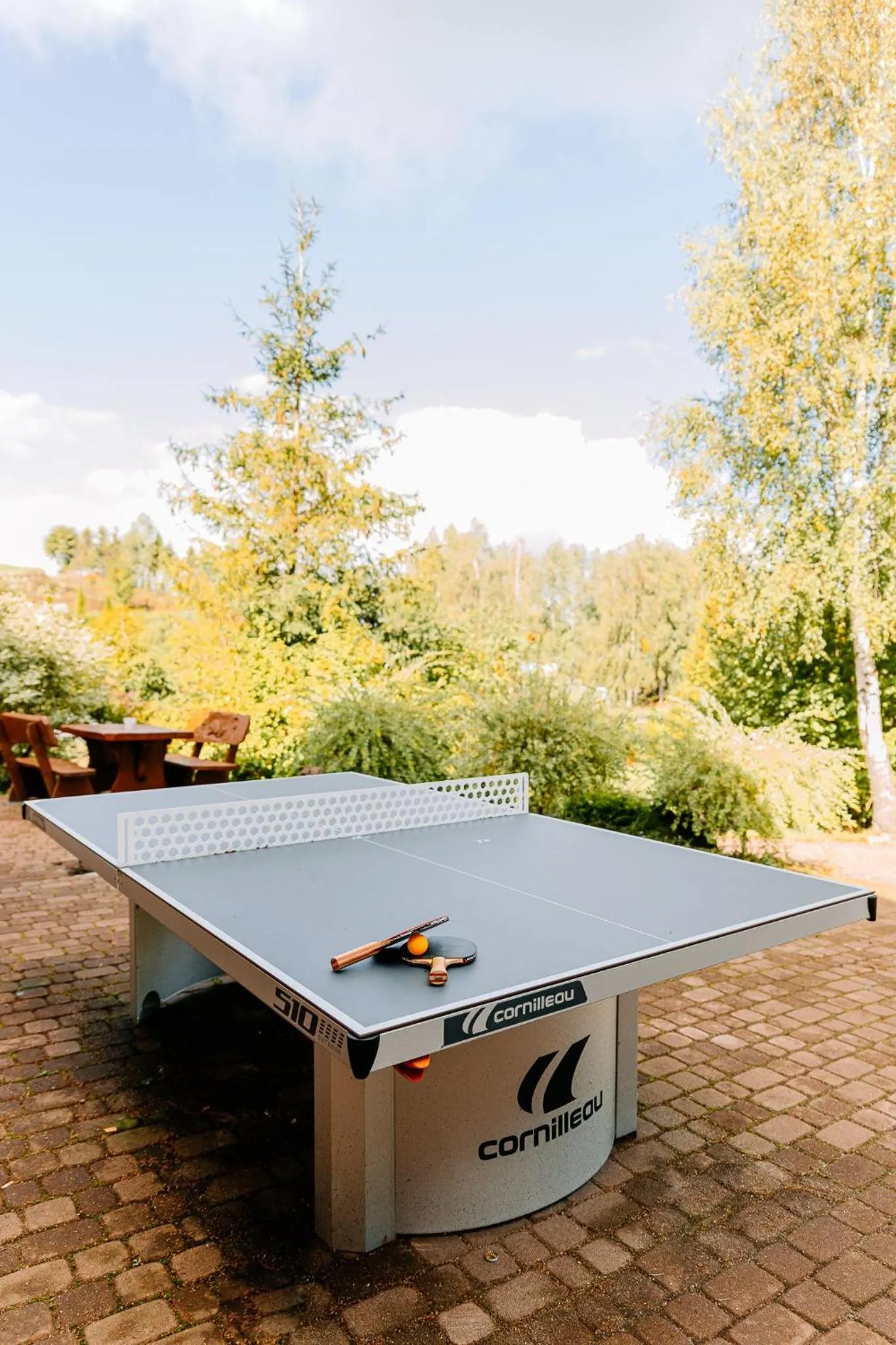 Table tennis in Resort Holiday Natural - Gościniec Zacisze